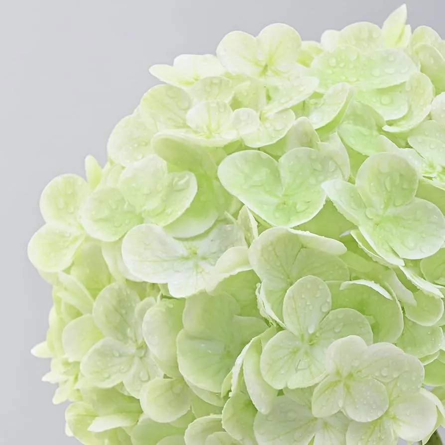 Falsche Blumen echte Berührung Hortensie