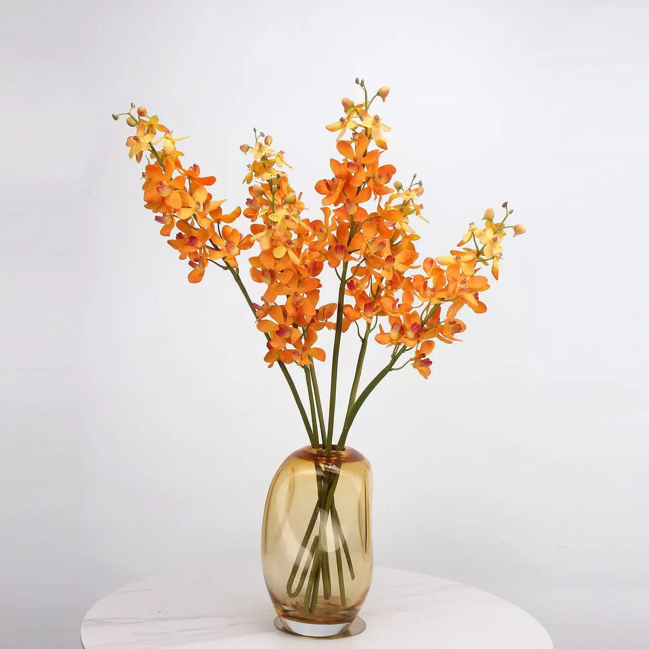 Dendrobium