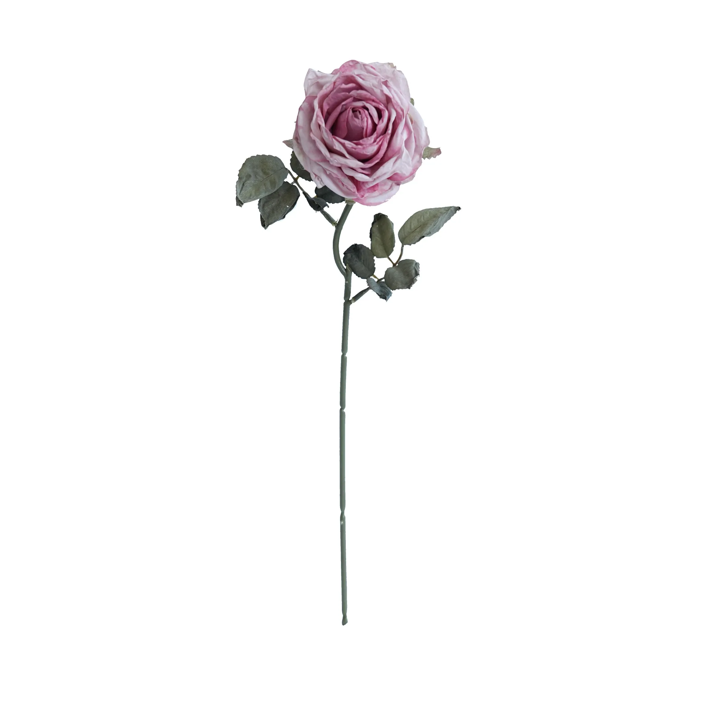 CORK-BORDED Multilyered Roses