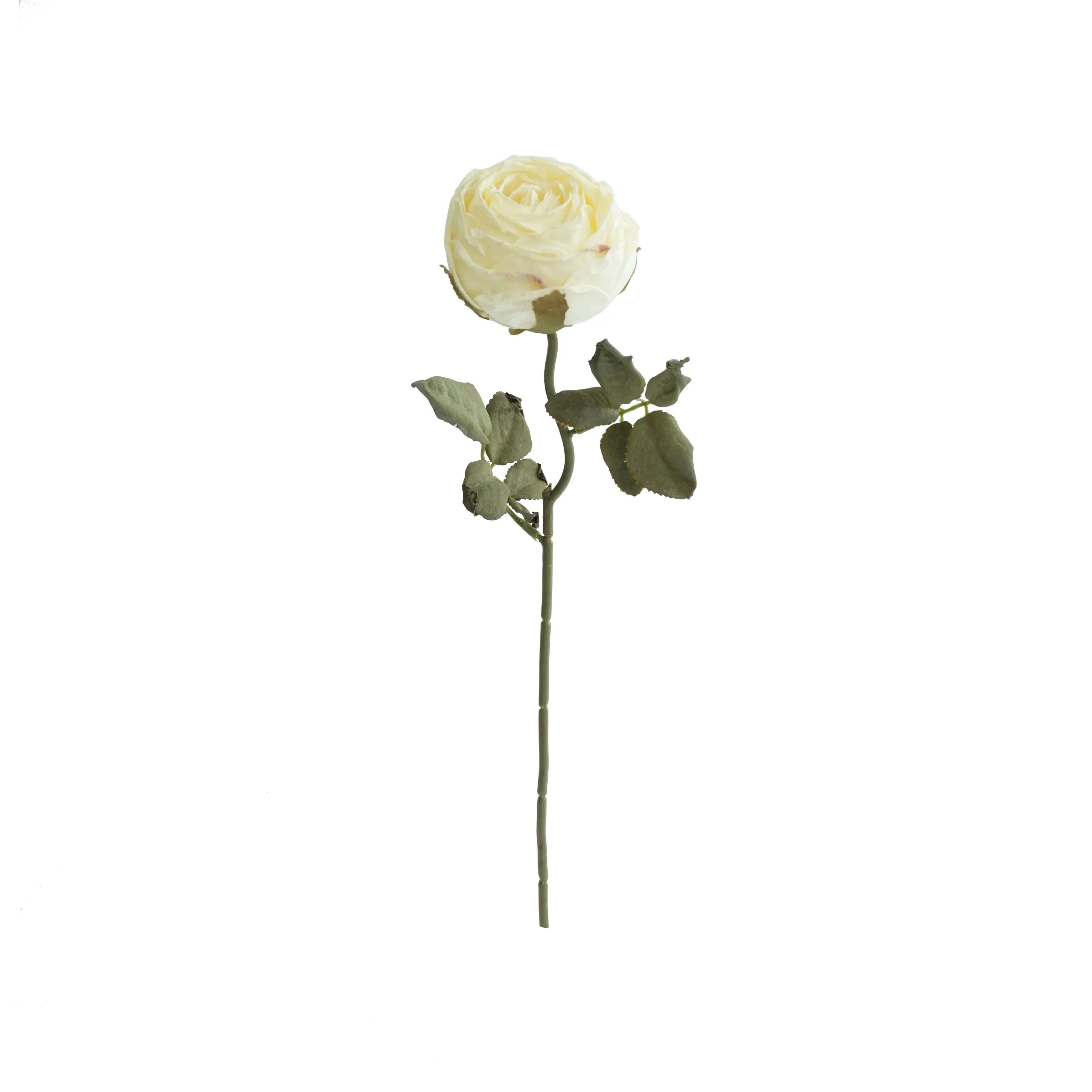 Gehackte runde Rosen