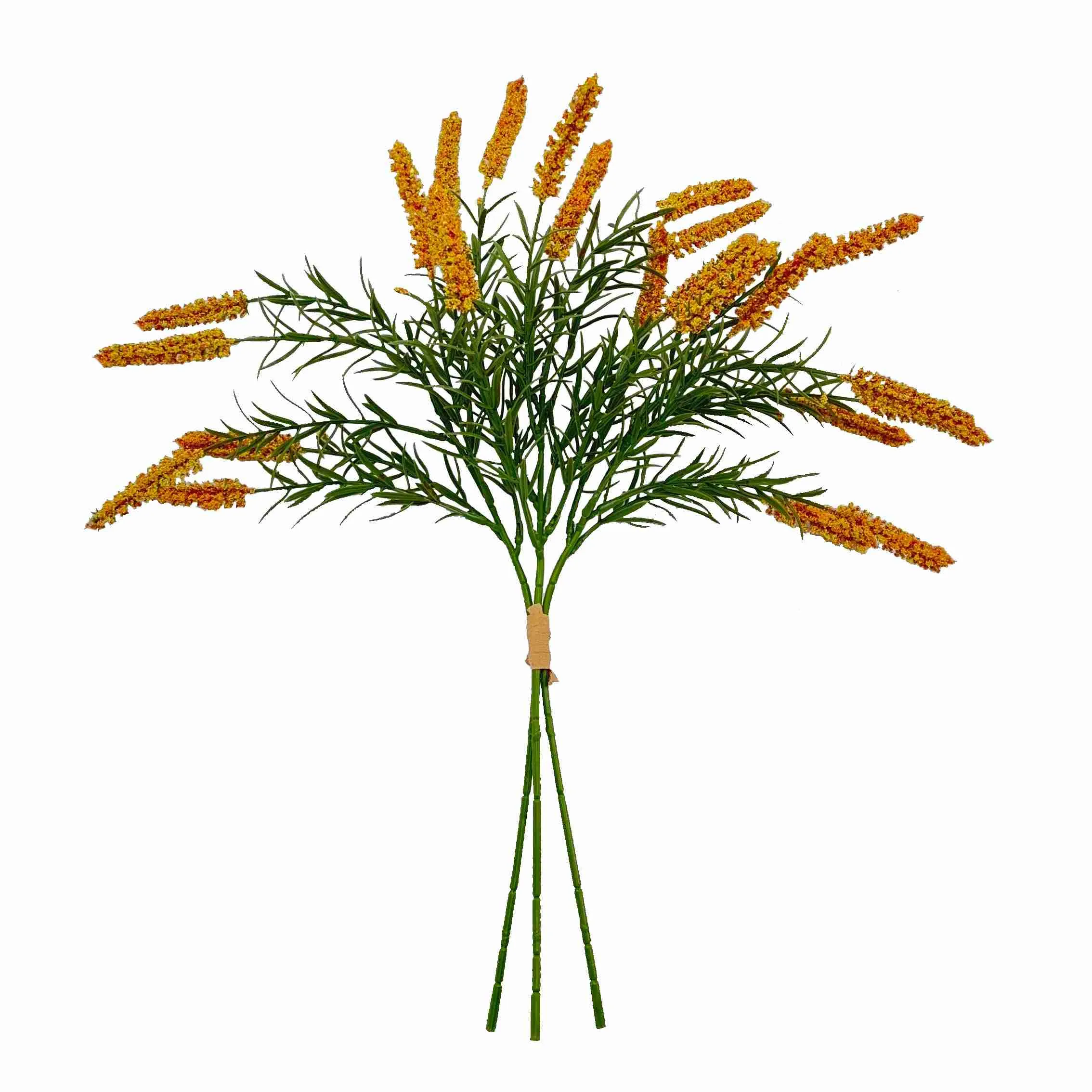 Bündeln Sie die Schilfblumen