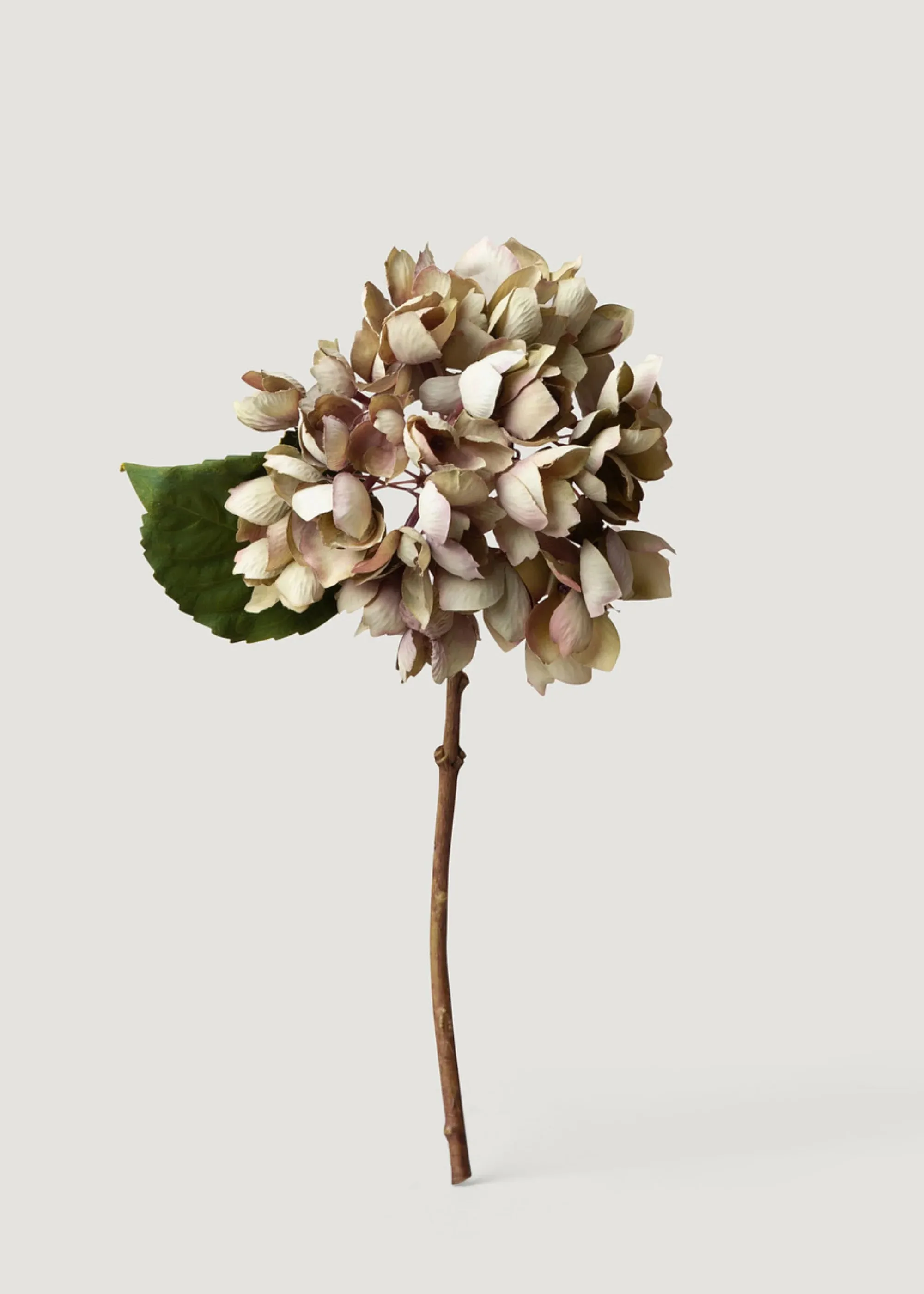 Getrockneter Look gefälschte Hortensie Blume