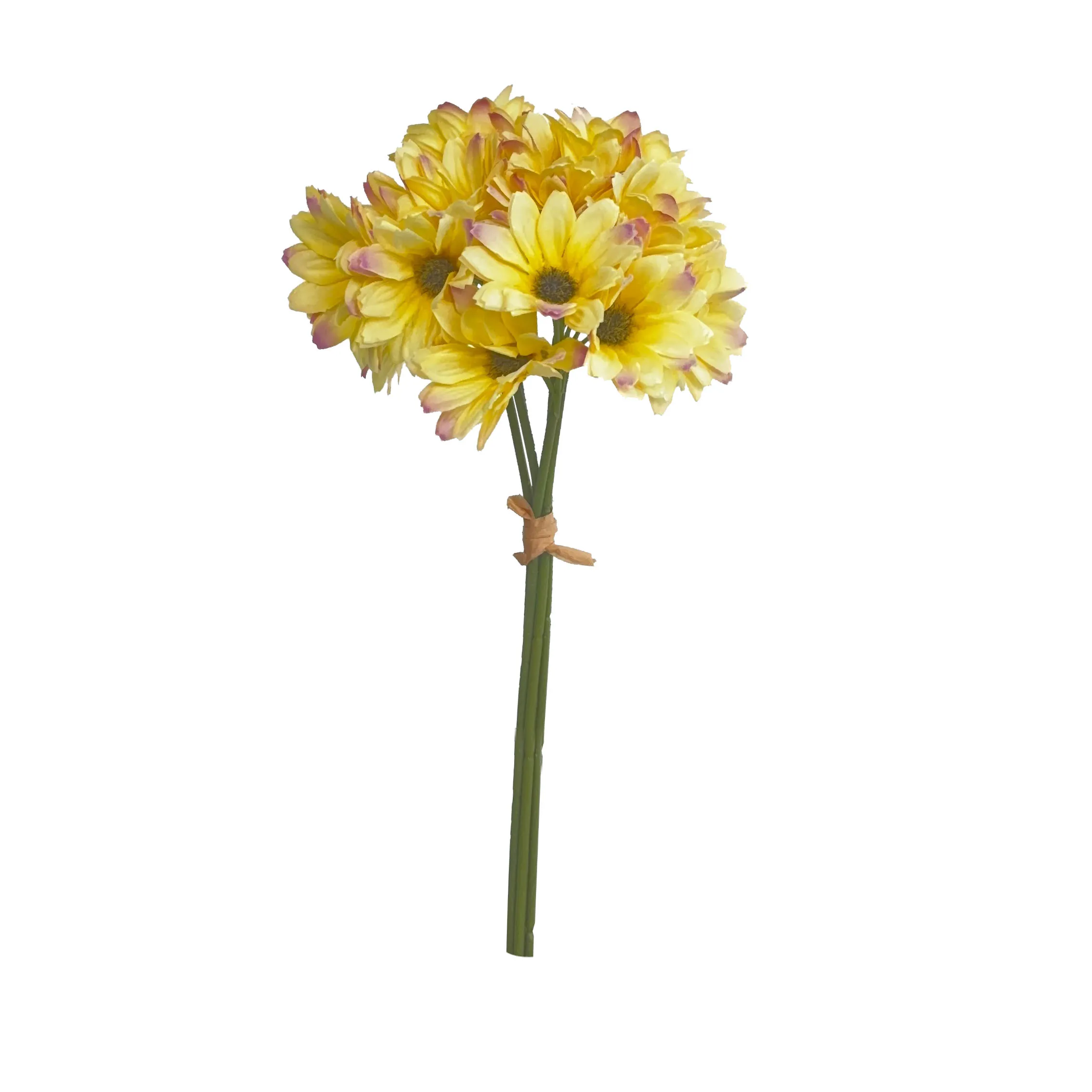 Nehmen Sie ein paar Sonnenblumen