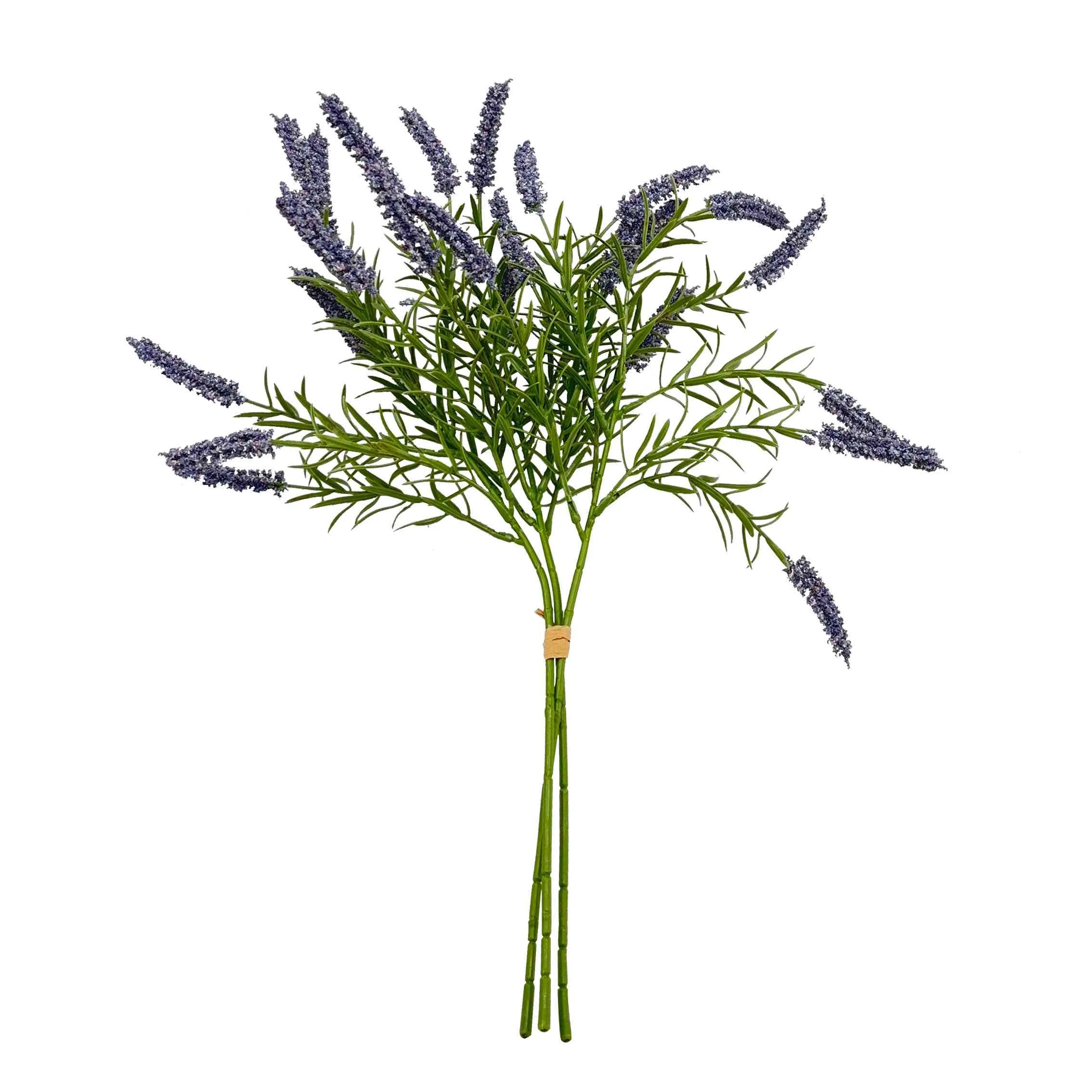 Bündeln Sie die Schilfblumen