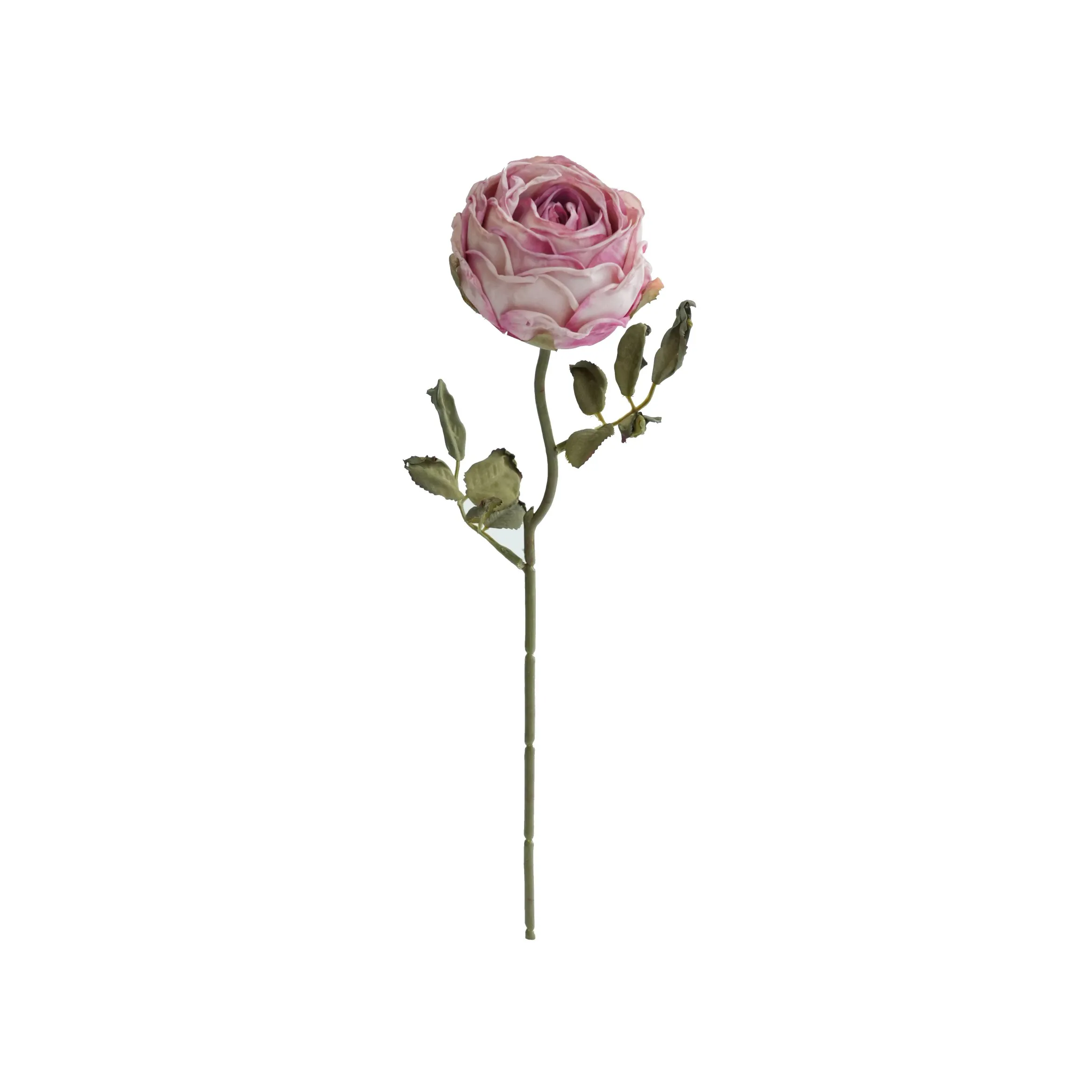 Gehackte runde Rosen