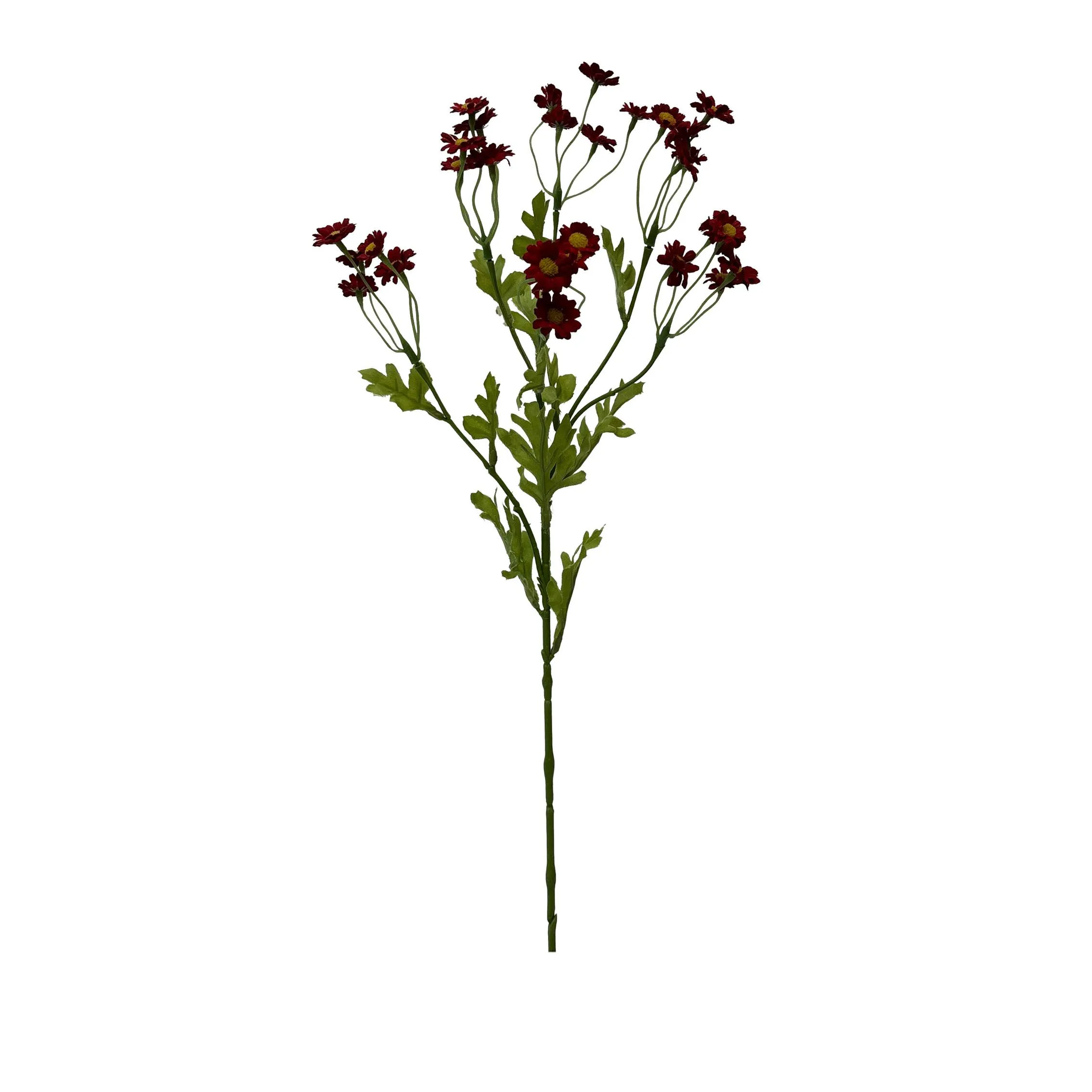 Eine einzige Portion Chamomile