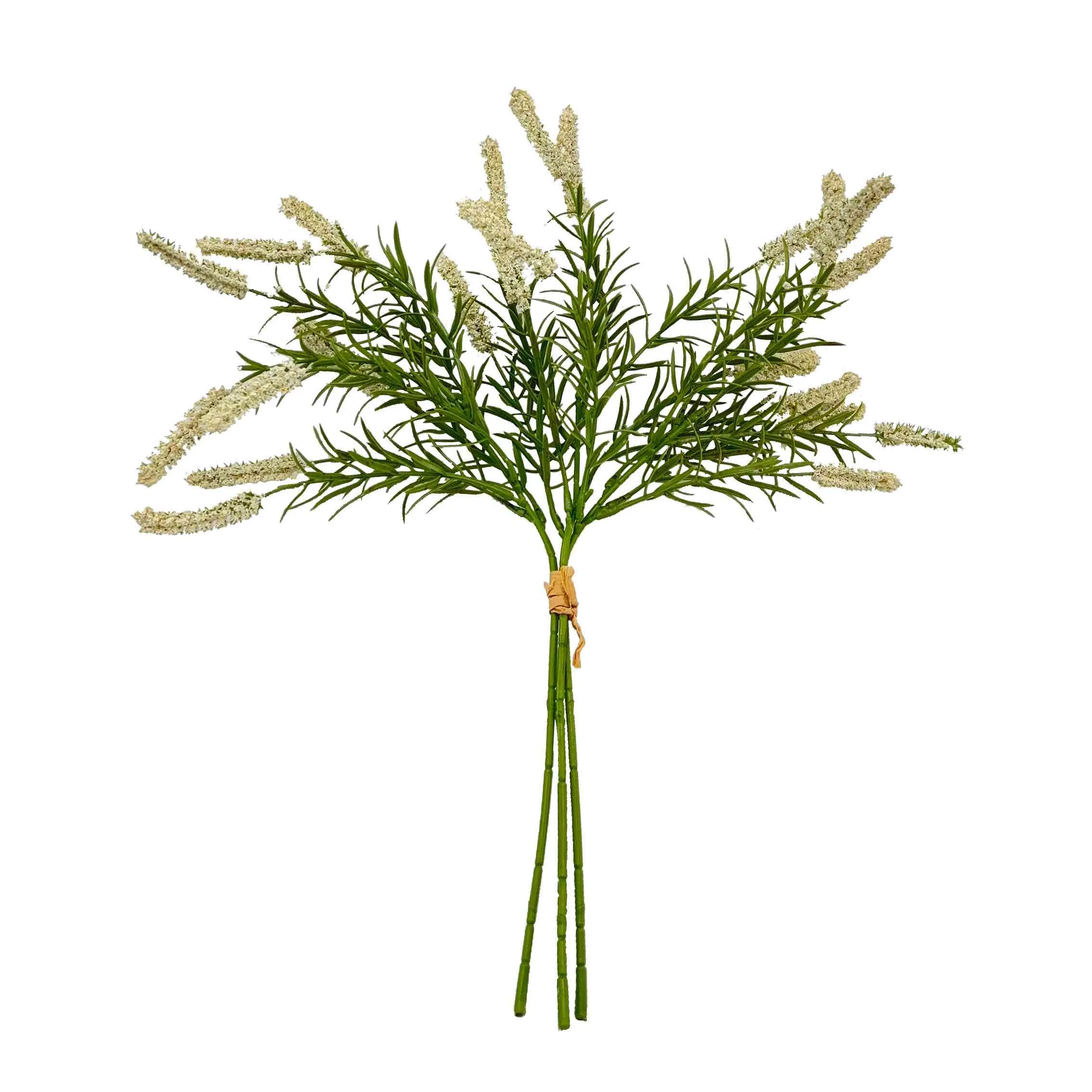 Bündeln Sie die Schilfblumen
