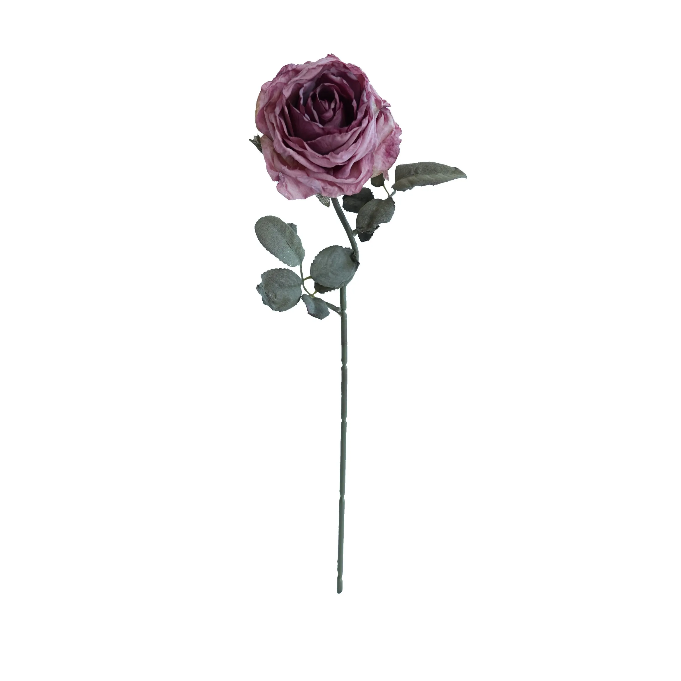 CORK-BORDED Multilyered Roses