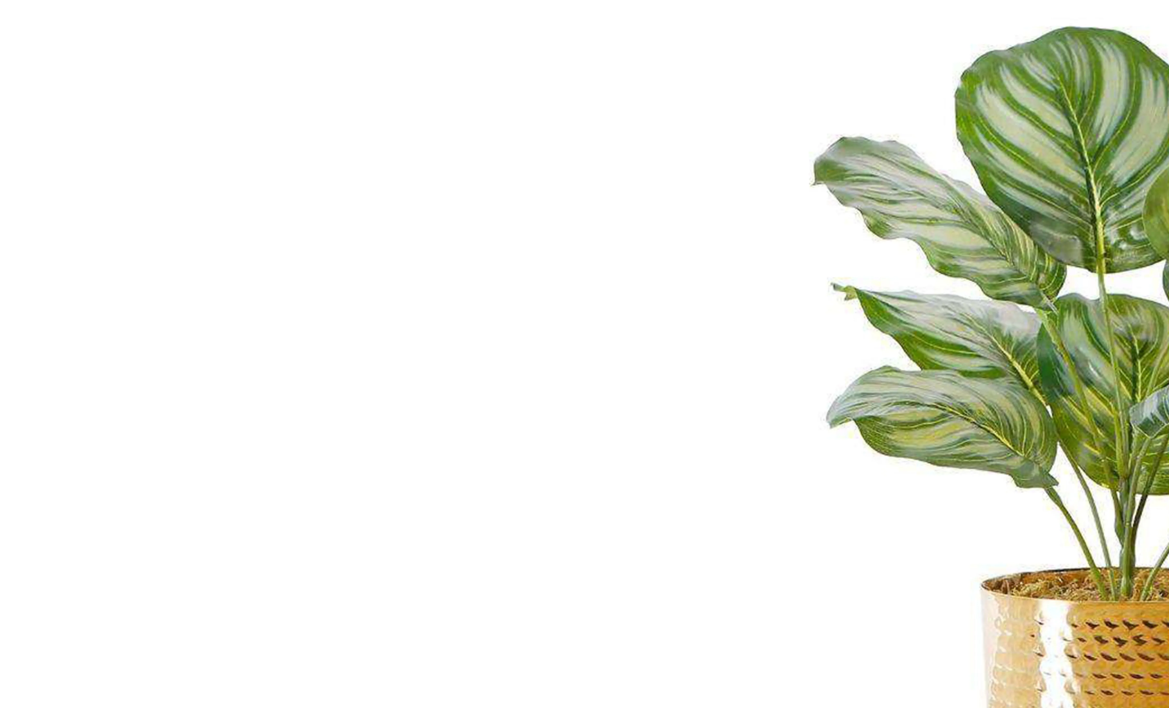 Künstliche grüne Pflanze