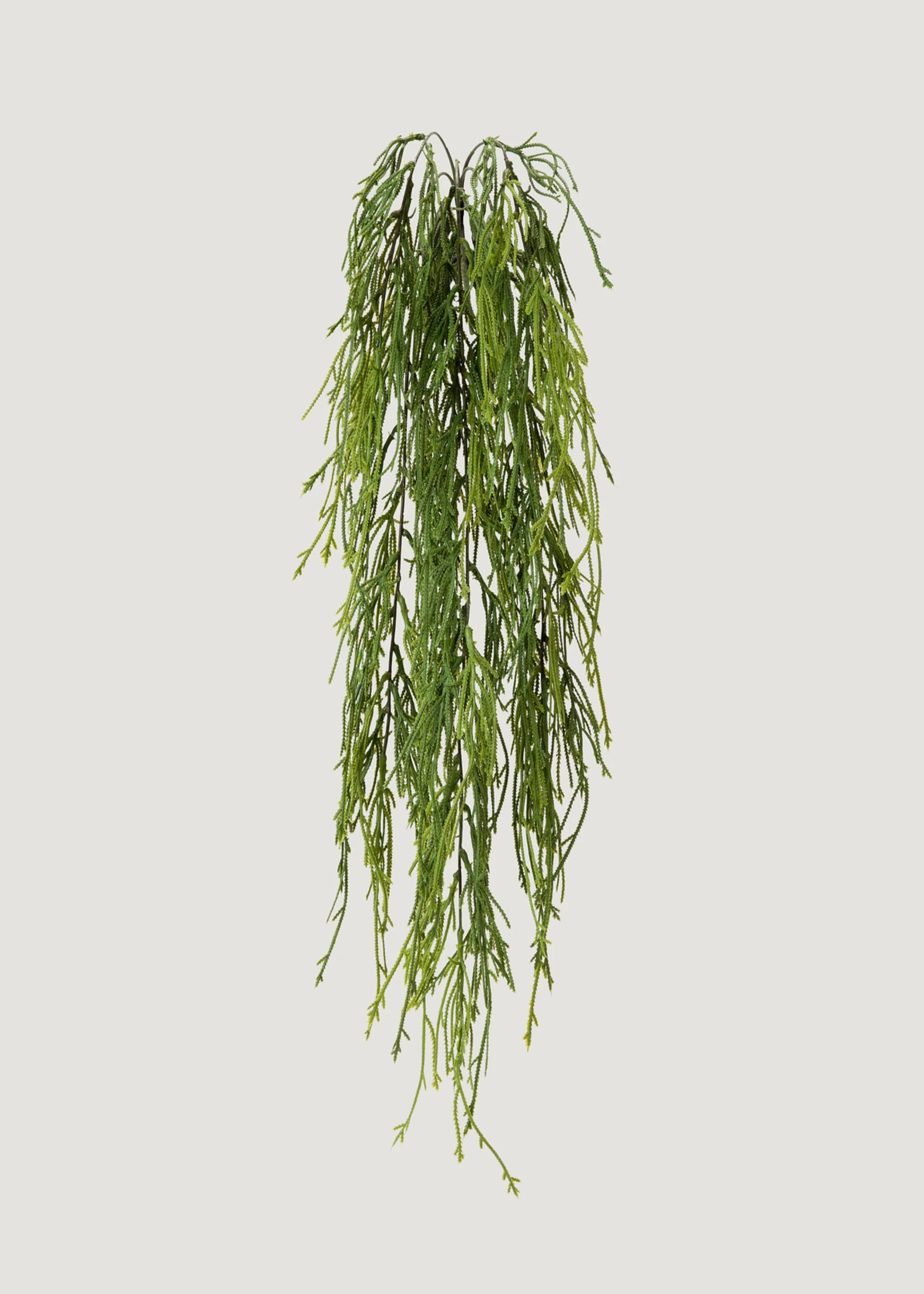 INDOOR_OUTDOOR FAKE HAGE MOSS Fernpflanze ab 100
