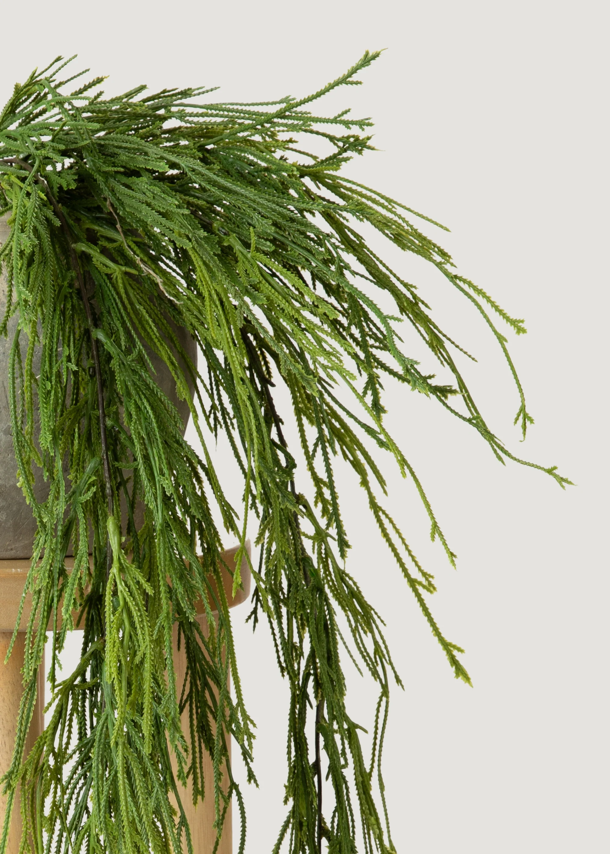 INDOOR_OUTDOOR FAKE HAGE MOSS Fernpflanze ab 100