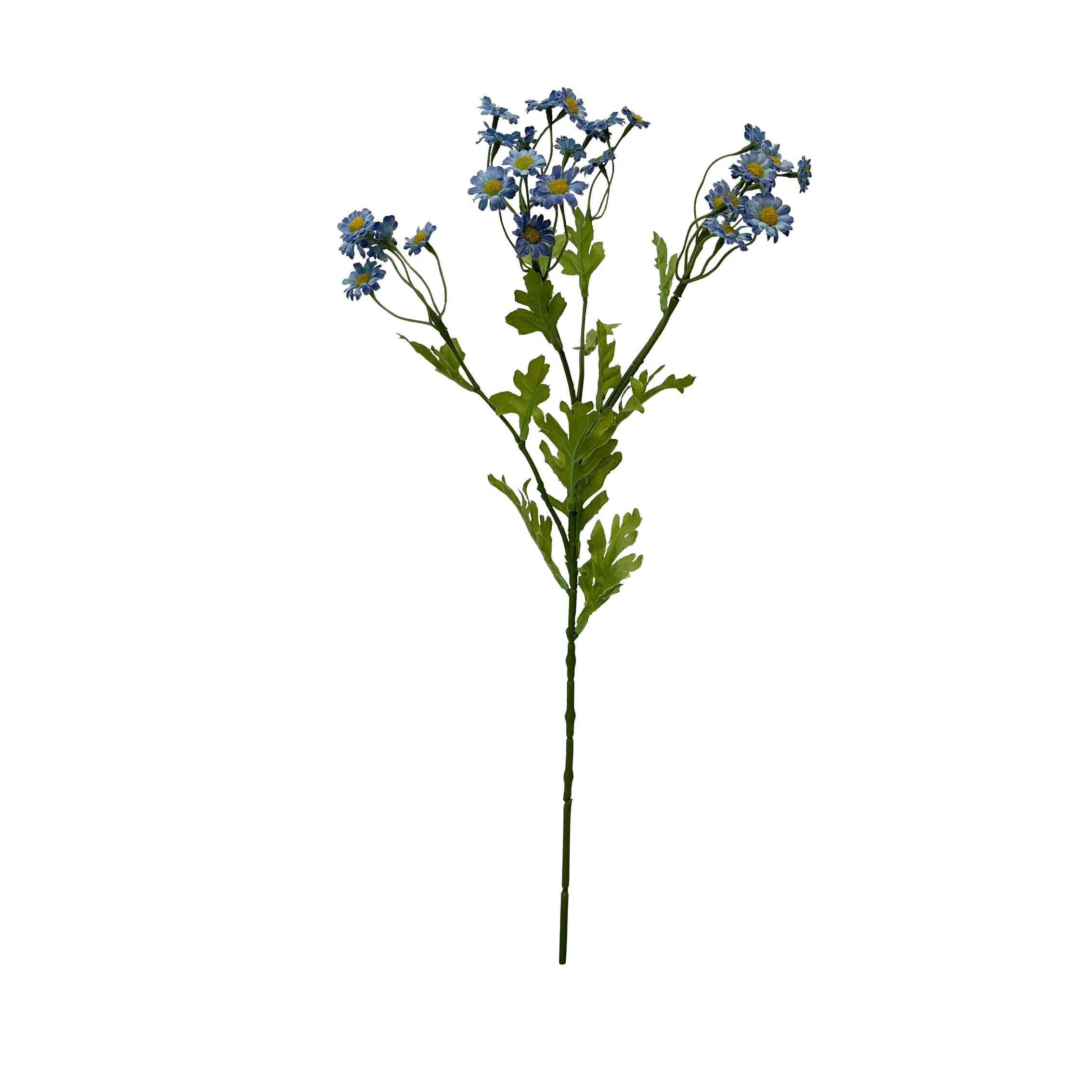 Eine einzige Portion Chamomile