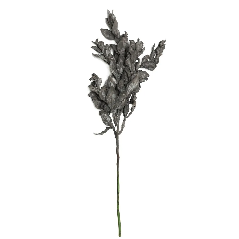Kurzfranktes Yuanbao-Blatt