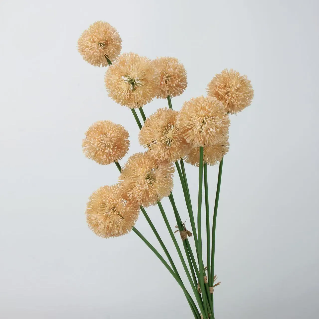 The future of boonville flower and decor