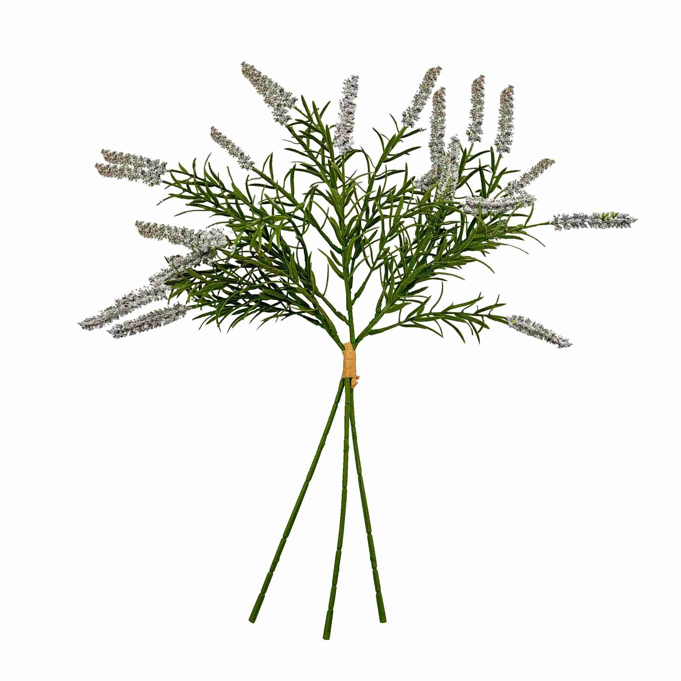 Bündeln Sie die Schilfblumen