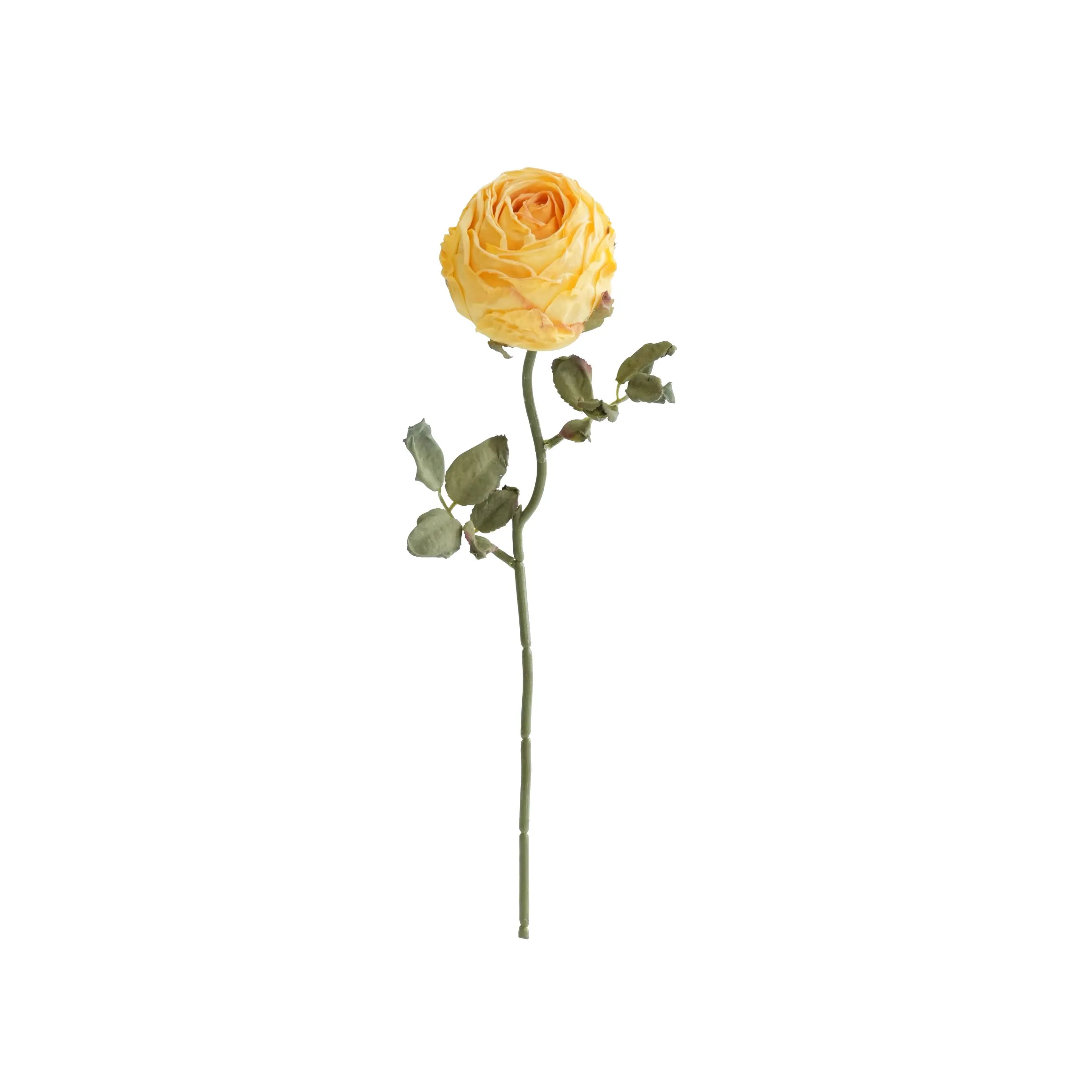 Gehackte runde Rosen