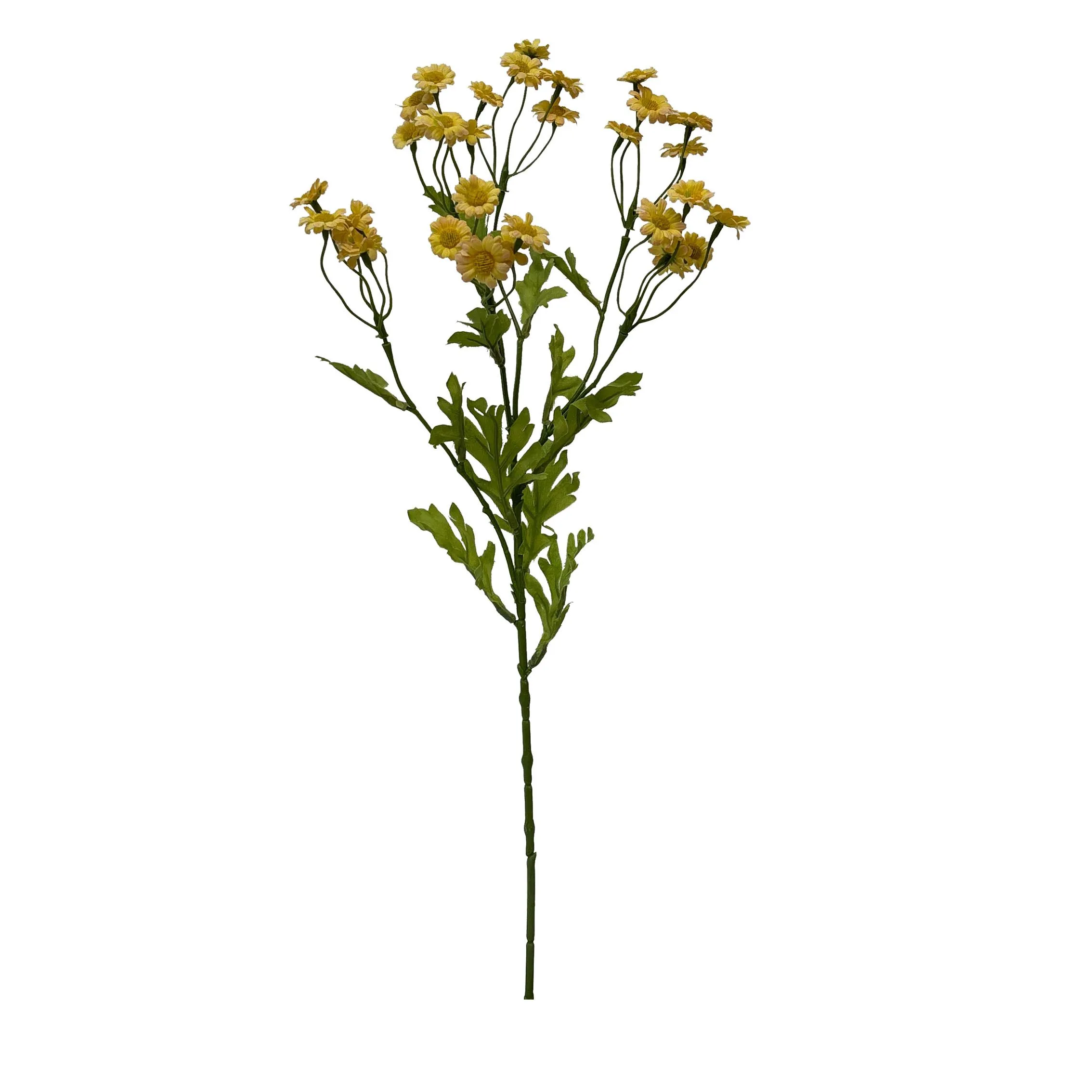 Eine einzige Portion Chamomile