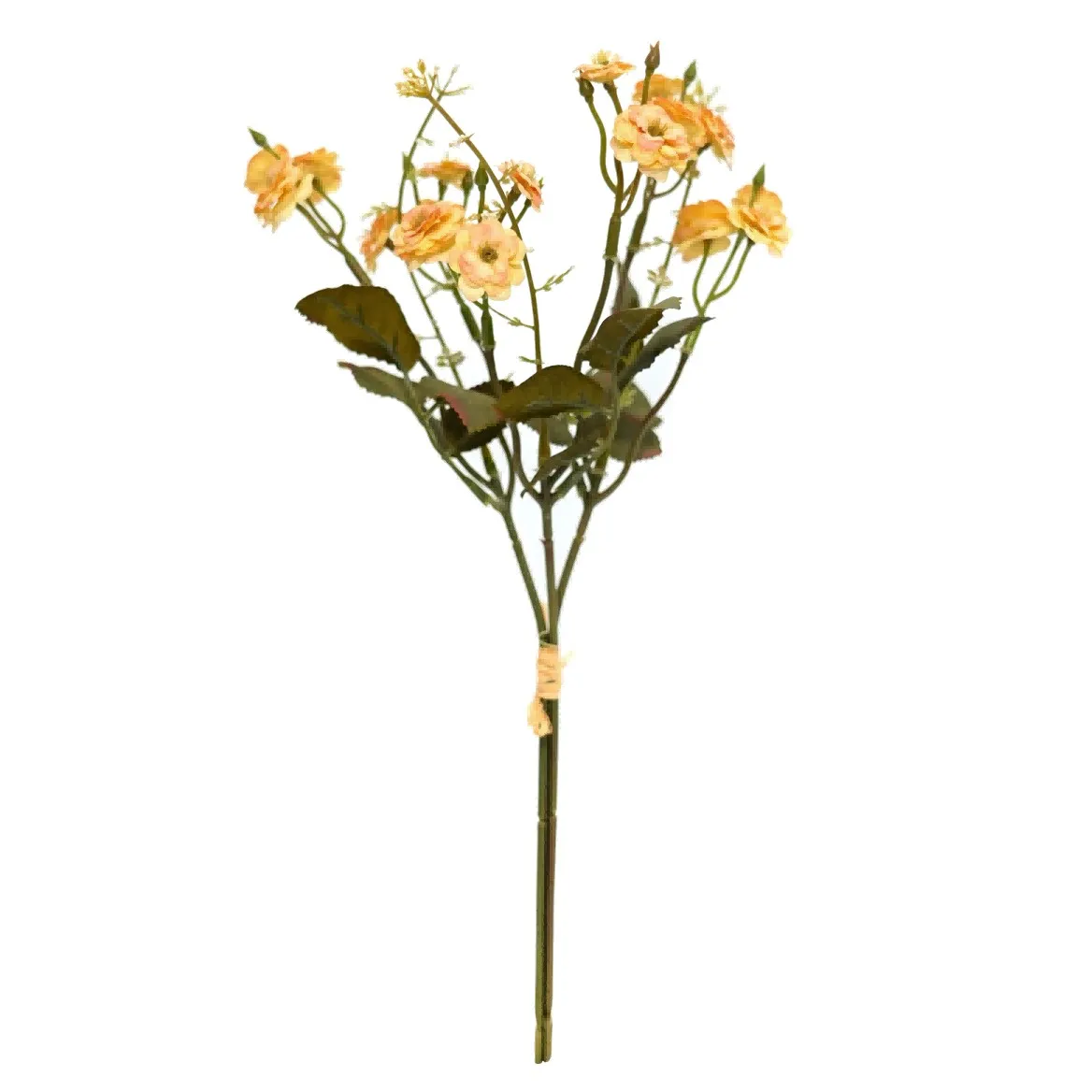 kleine Rosen