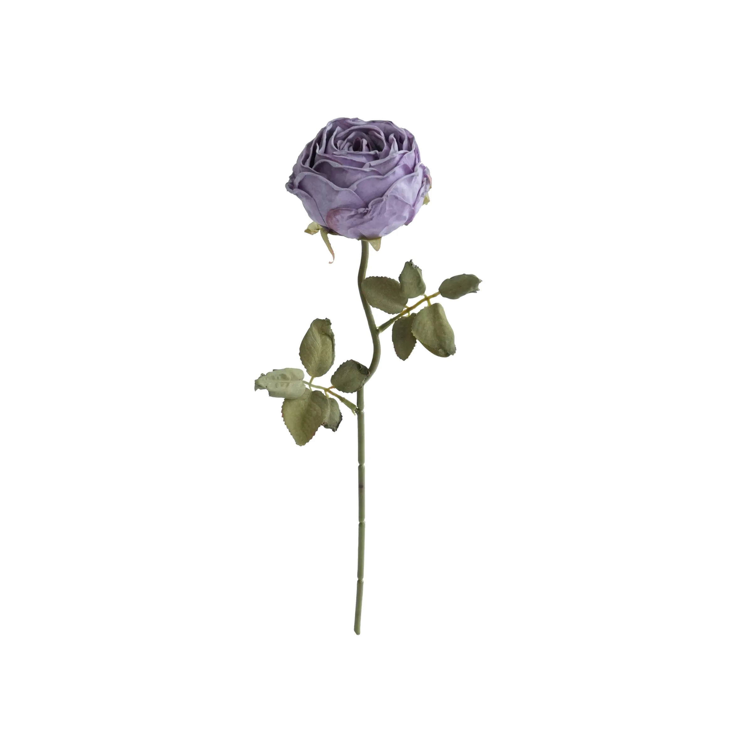Gehackte runde Rosen