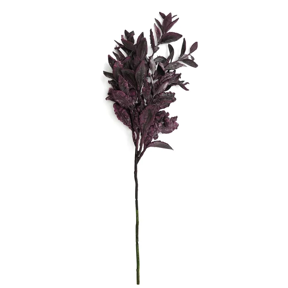 Kurzfranktes Yuanbao-Blatt