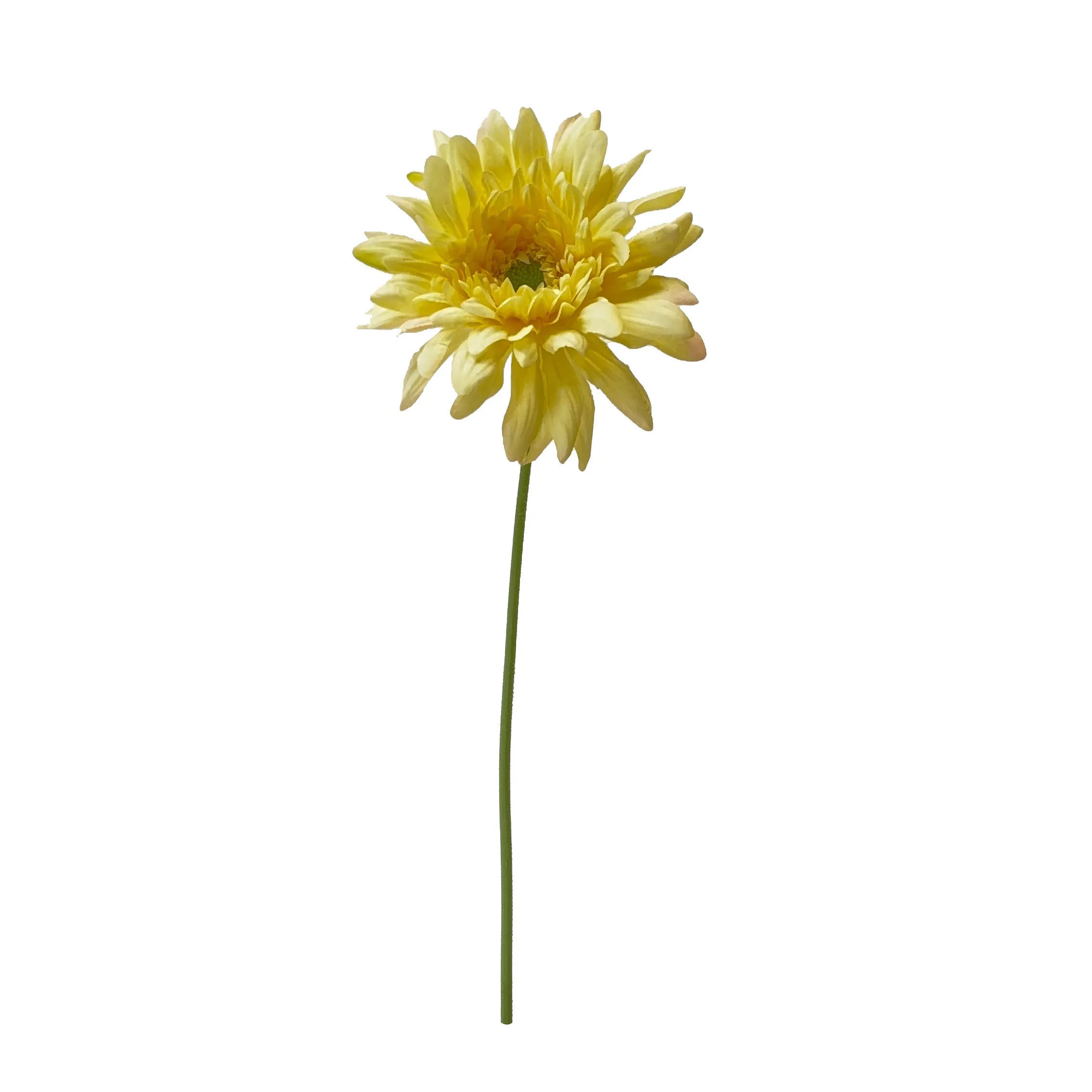 COURGETTE mit Rosenkohl