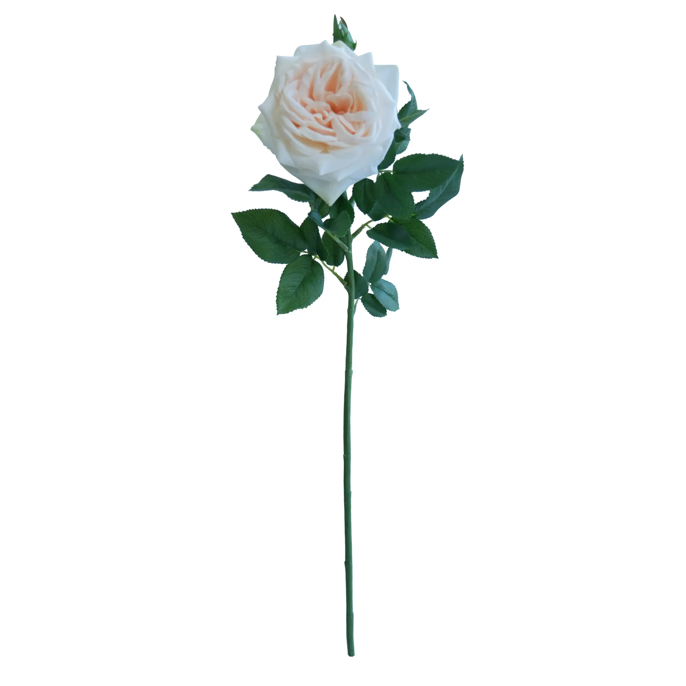 Single Lychee Rose