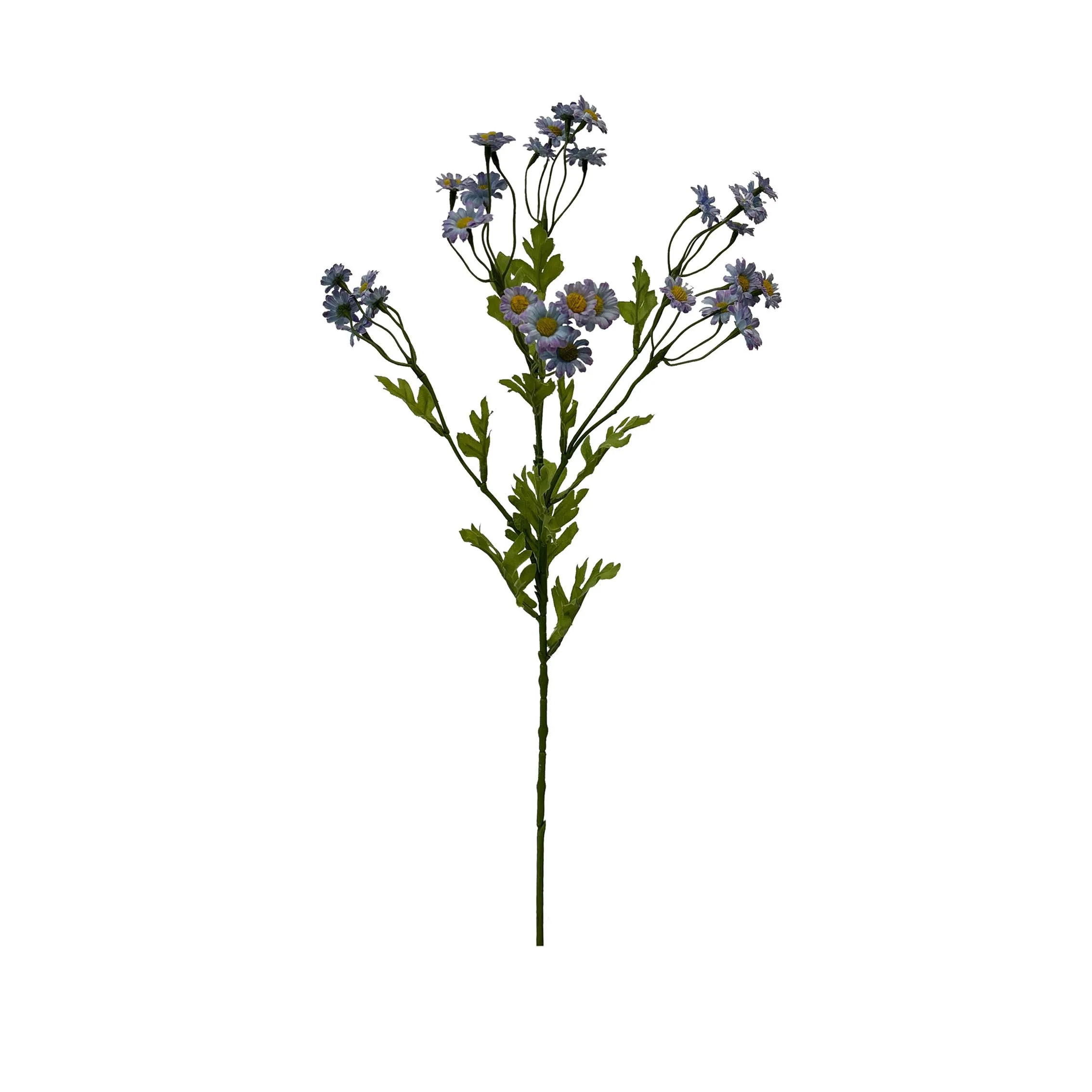 Eine einzige Portion Chamomile