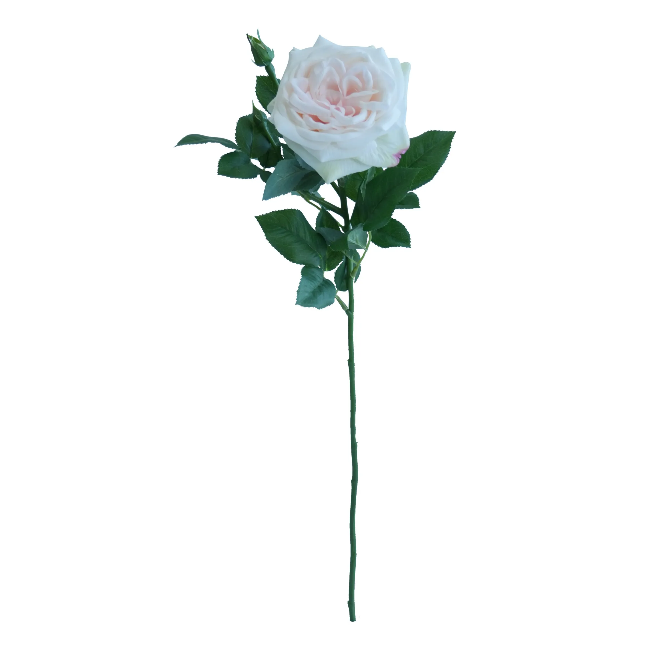 Single Lychee Rose