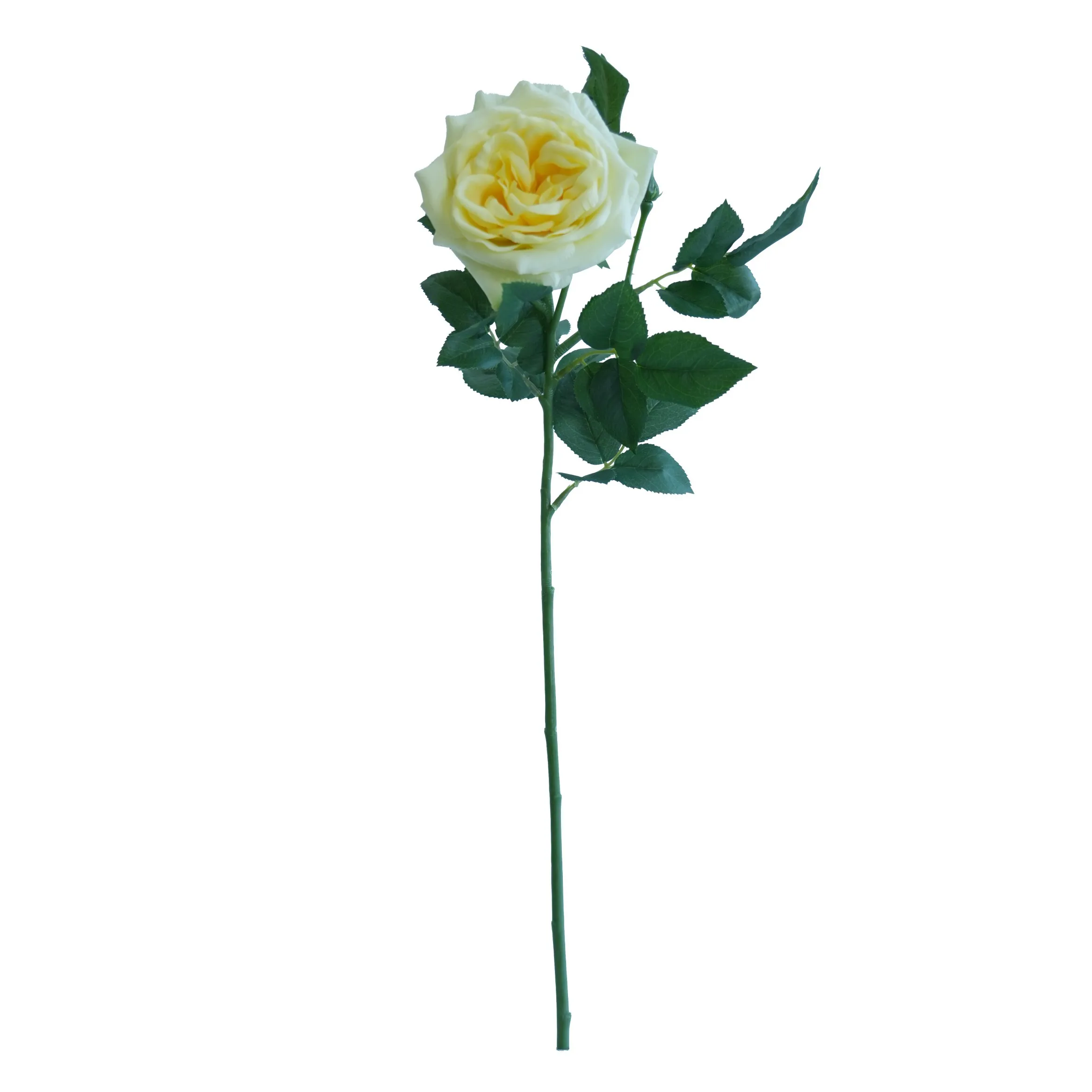 Single Lychee Rose