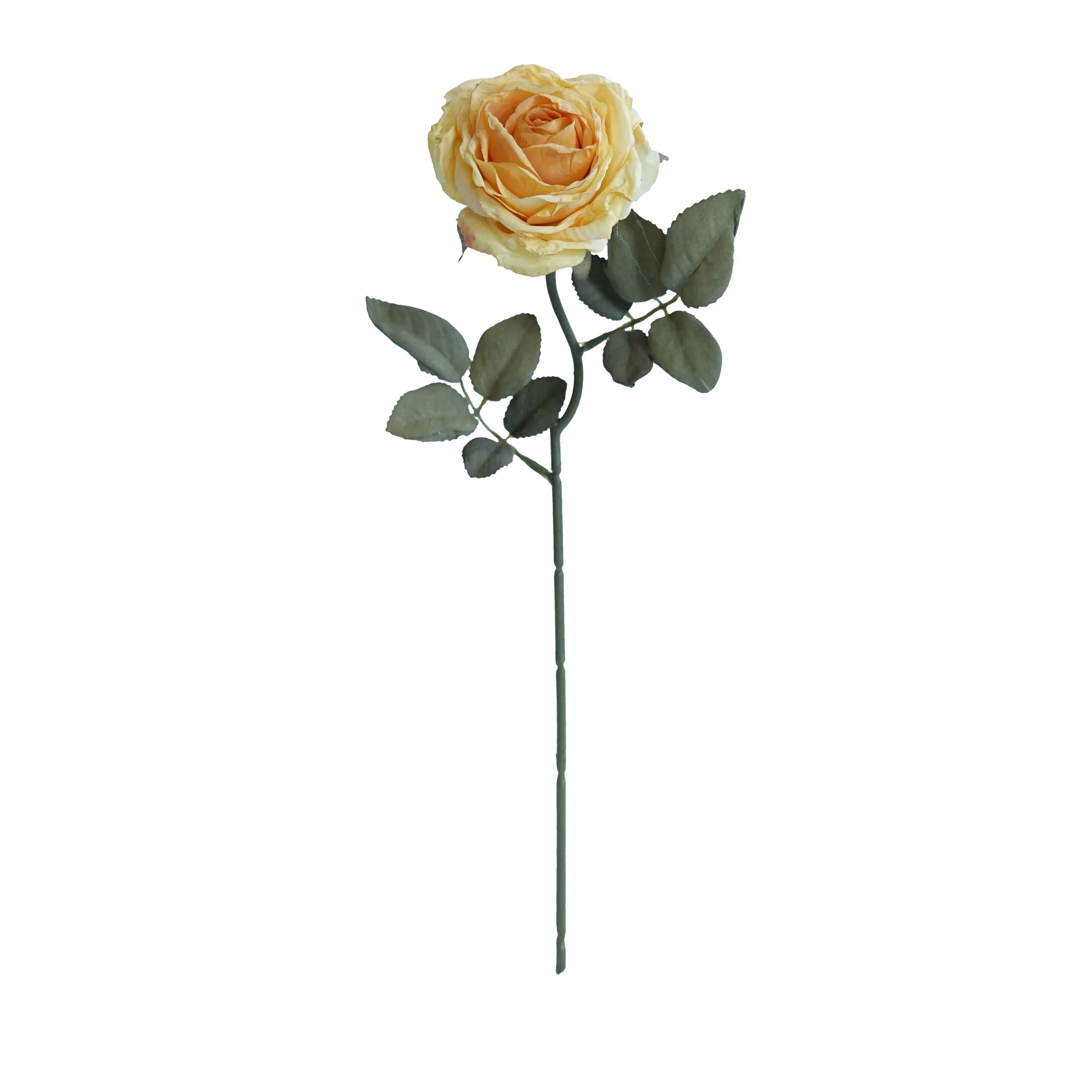 CORK-BORDED Multilyered Roses