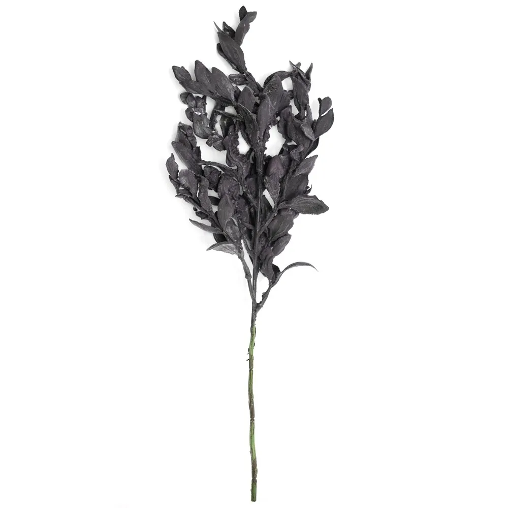 Kurzfranktes Yuanbao-Blatt