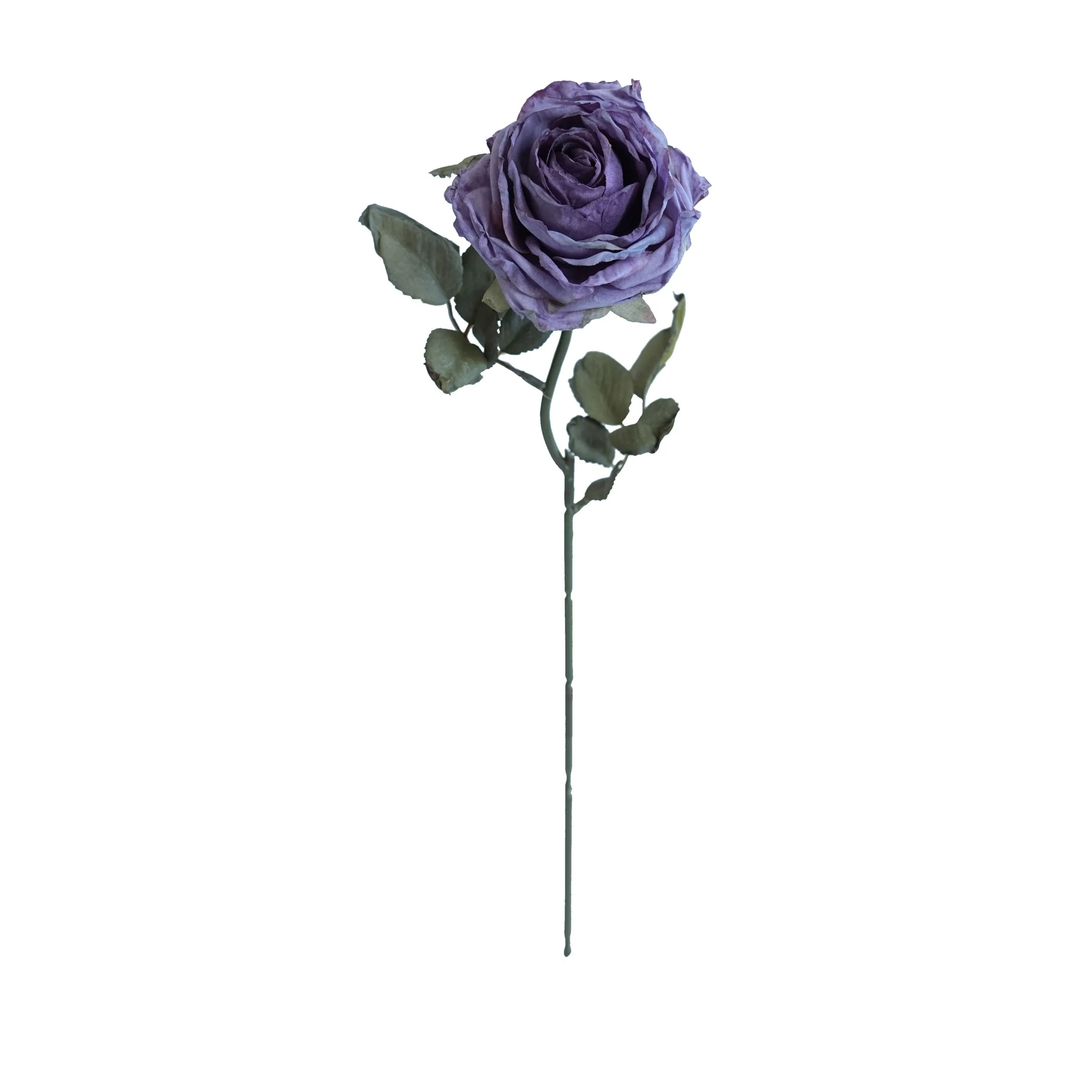 CORK-BORDED Multilyered Roses