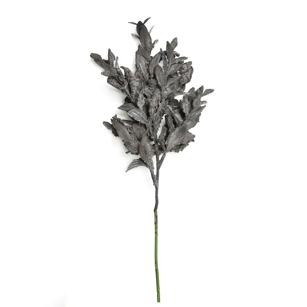 Kurzfranktes Yuanbao-Blatt