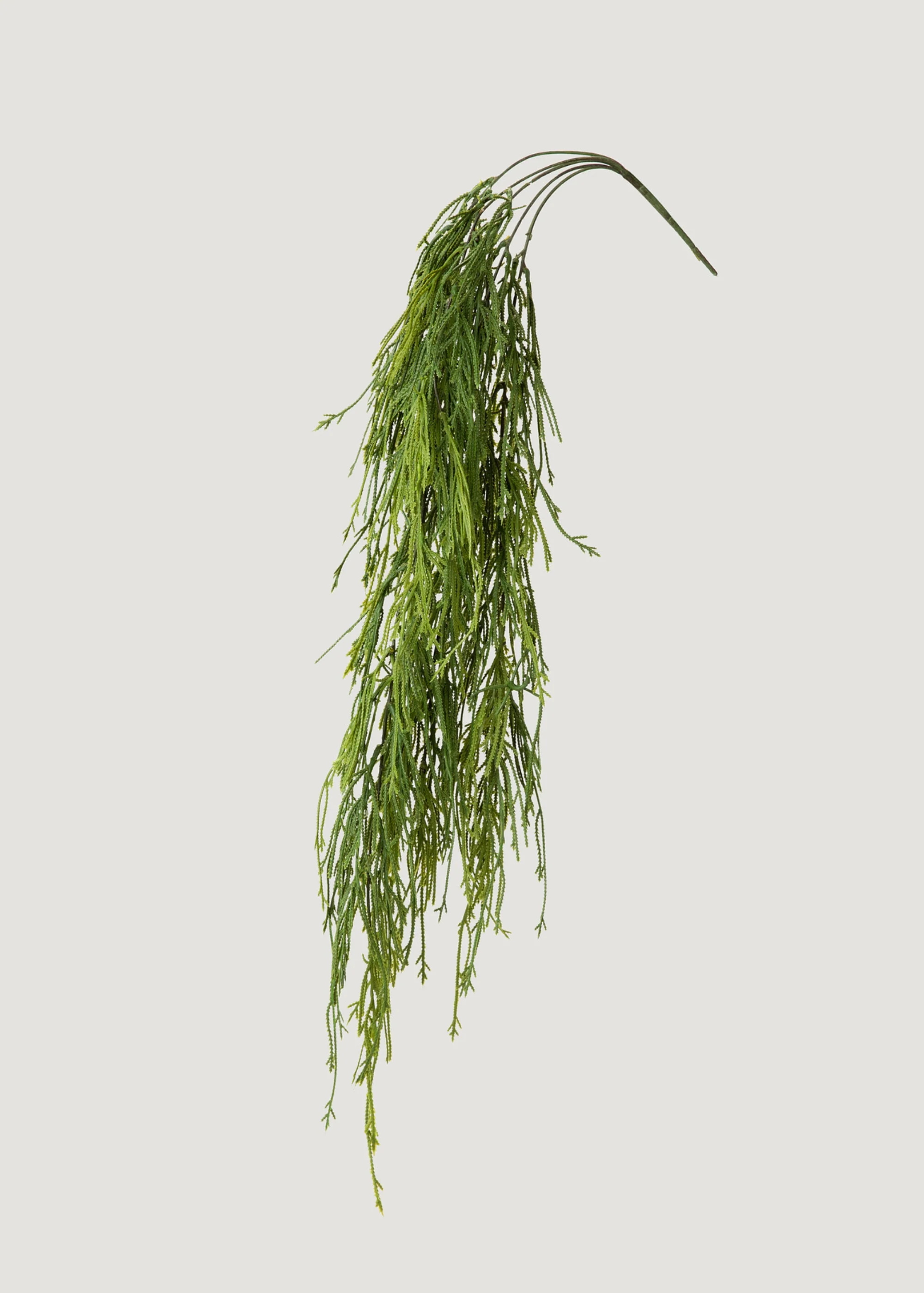 INDOOR_OUTDOOR FAKE HAGE MOSS Fernpflanze ab 100