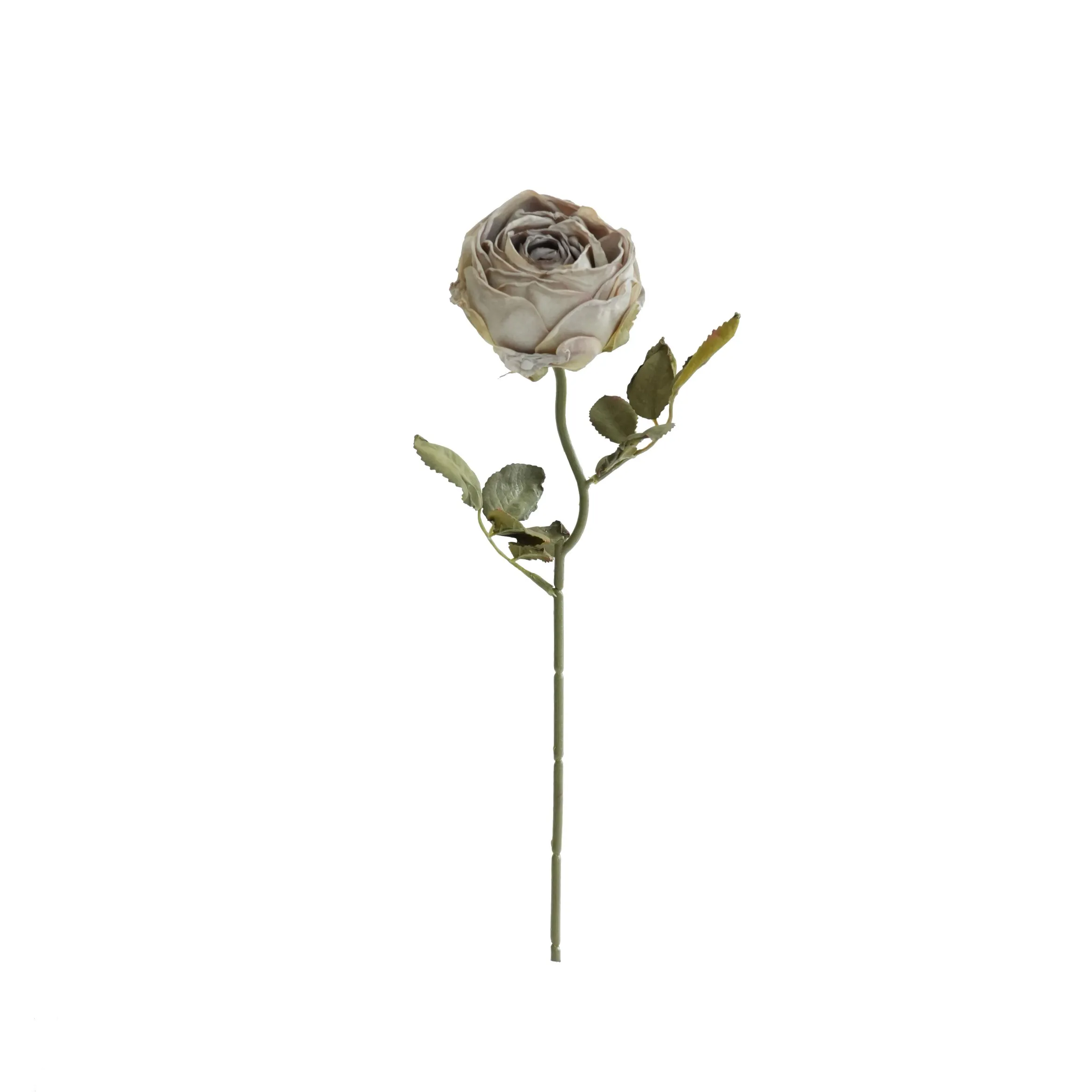 Gehackte runde Rosen