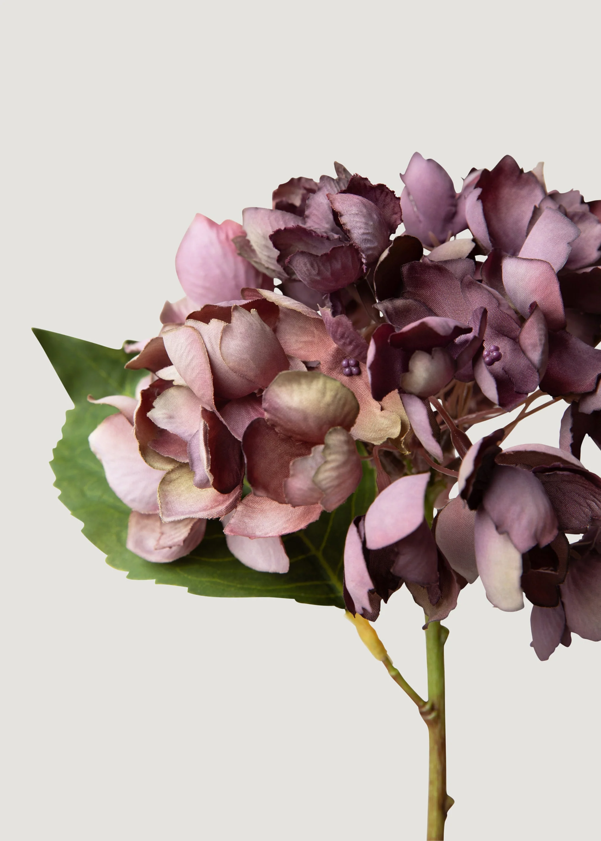 Getrockneter Look gefälschte Hortensie Blume