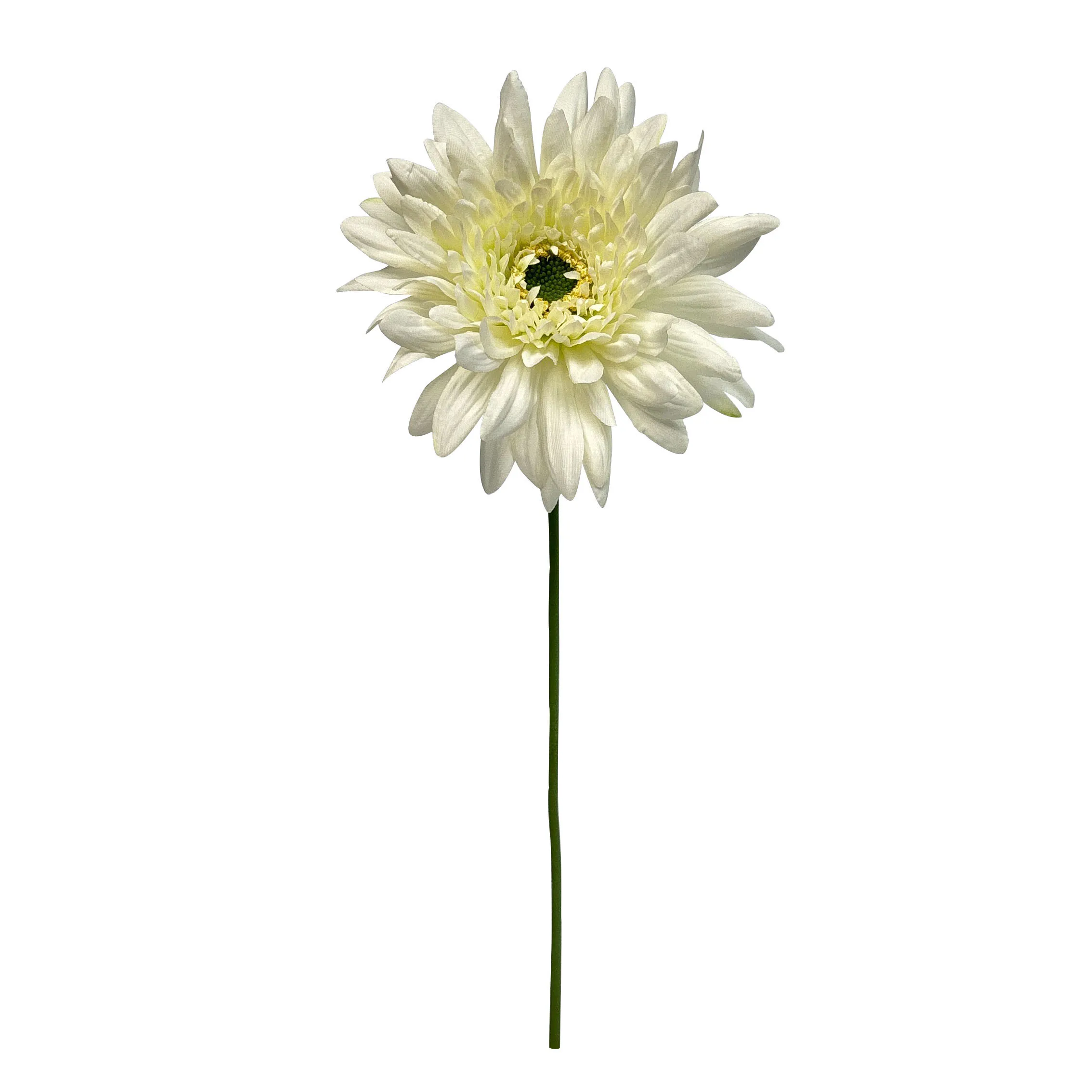COURGETTE mit Rosenkohl