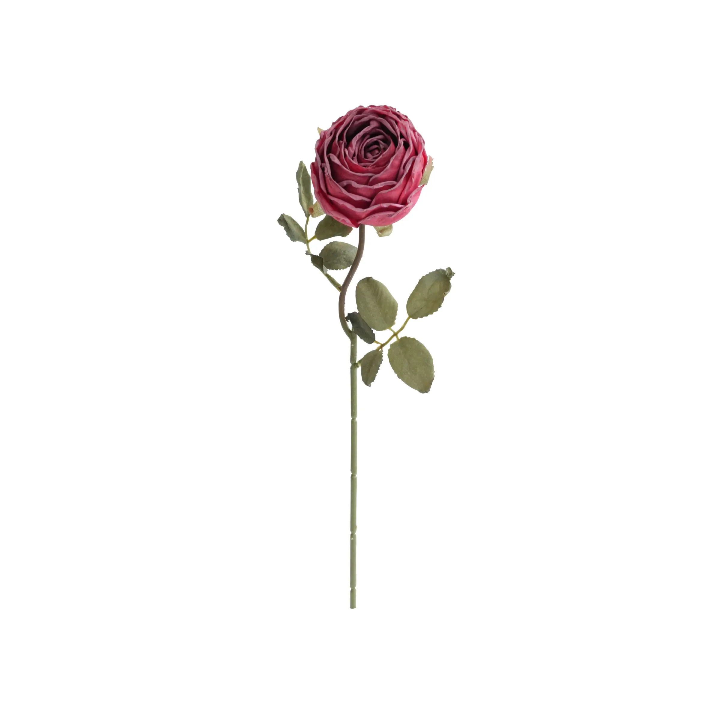 Gehackte runde Rosen