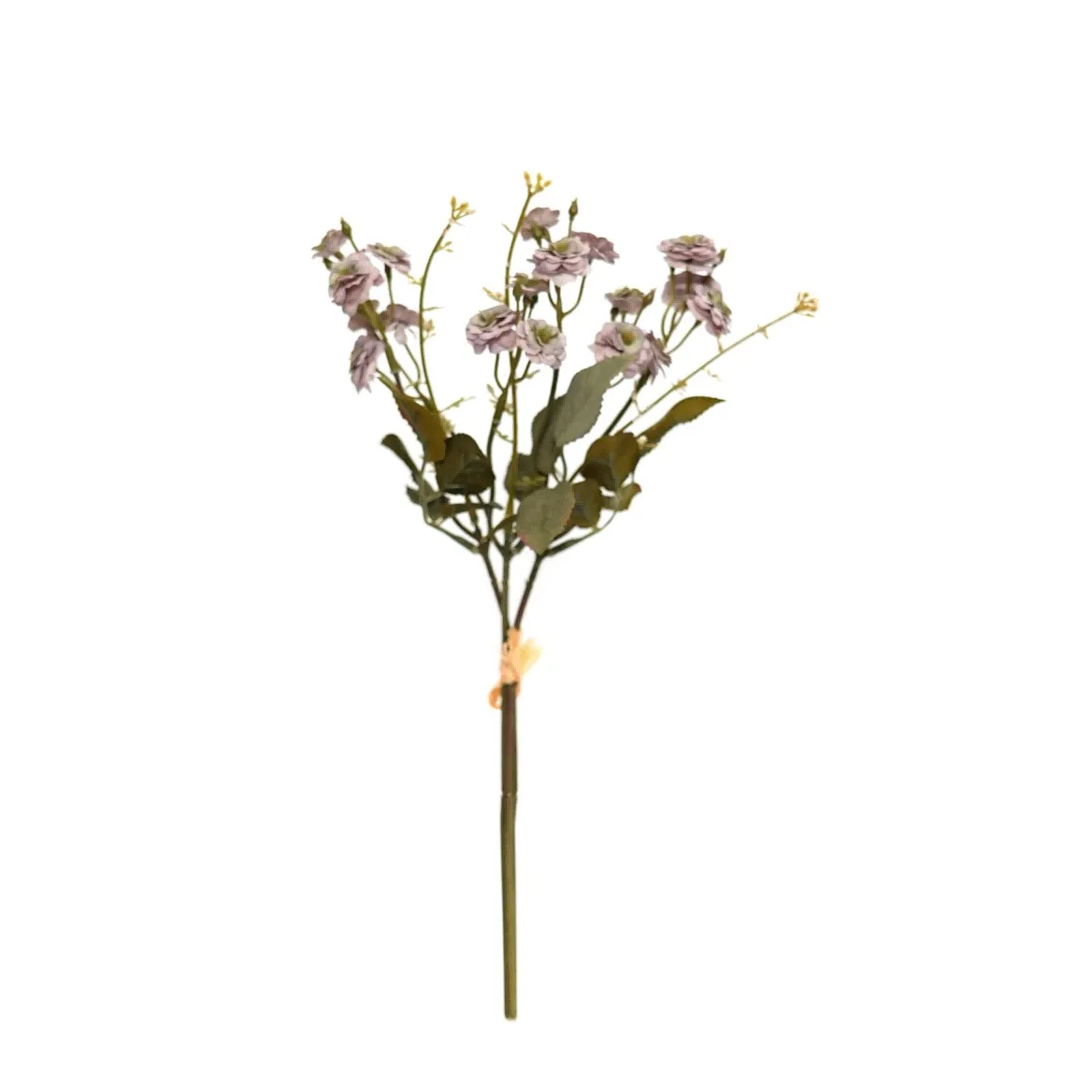 kleine Rosen