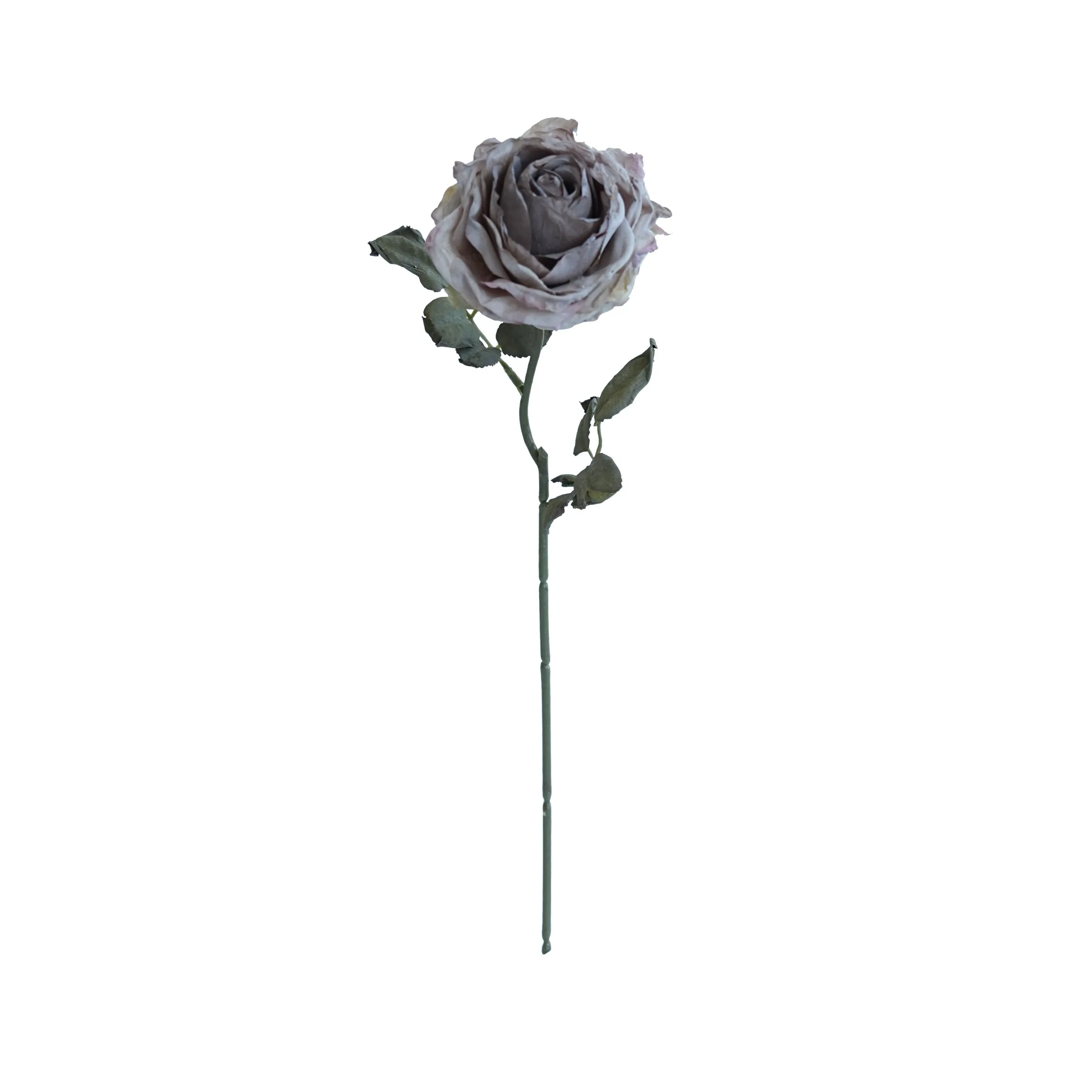 CORK-BORDED Multilyered Roses