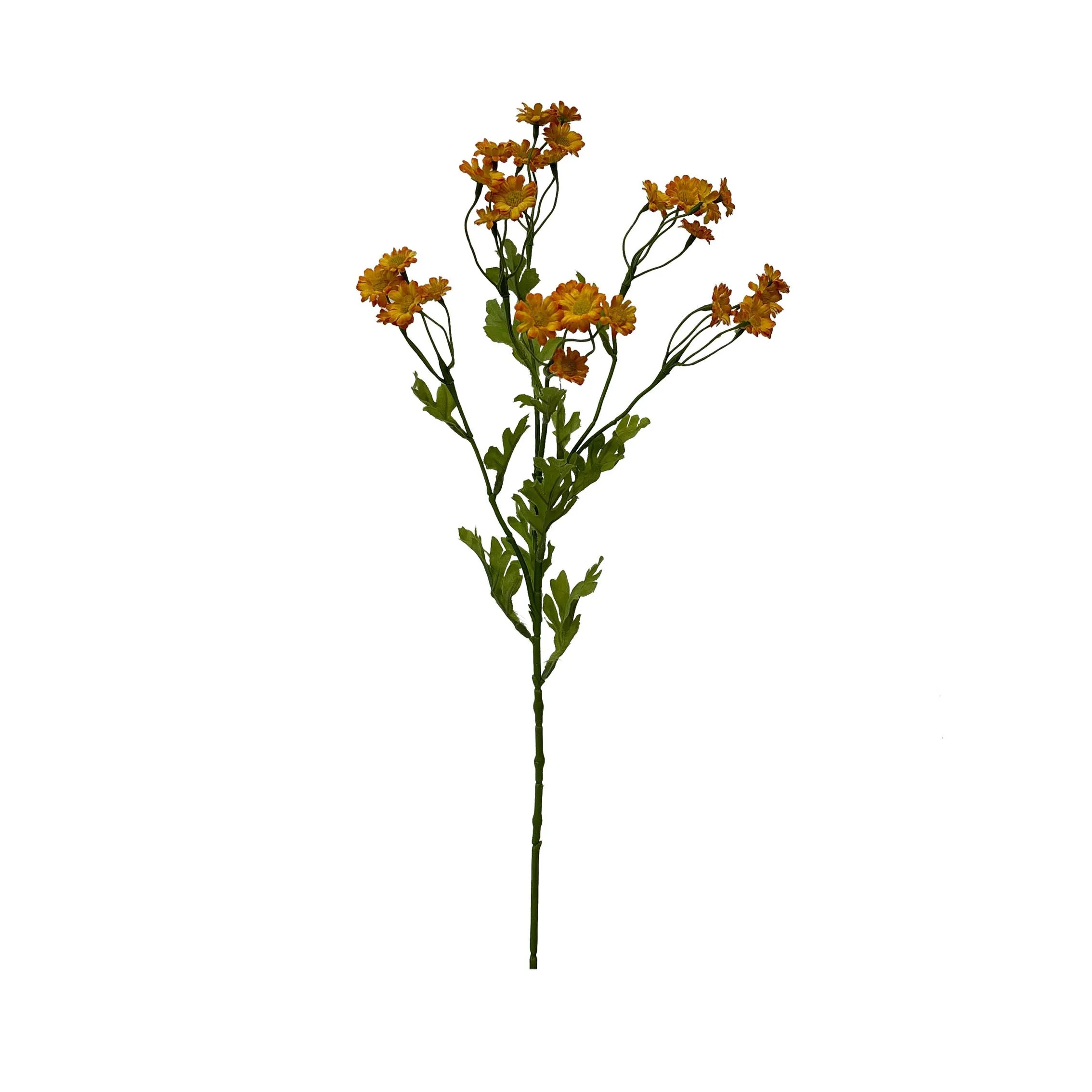 Eine einzige Portion Chamomile
