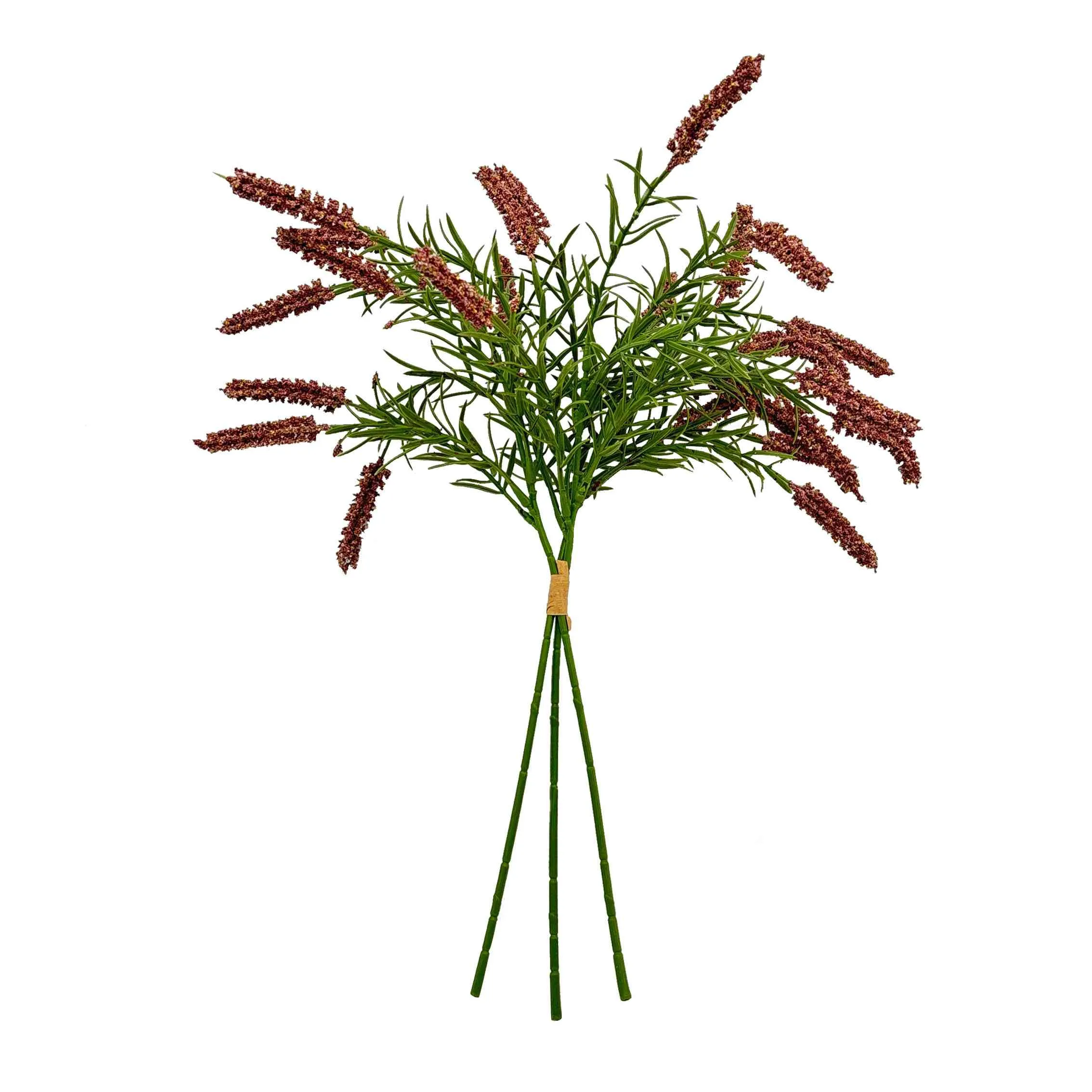 Bündeln Sie die Schilfblumen