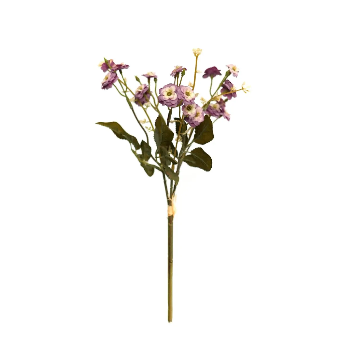 kleine Rosen