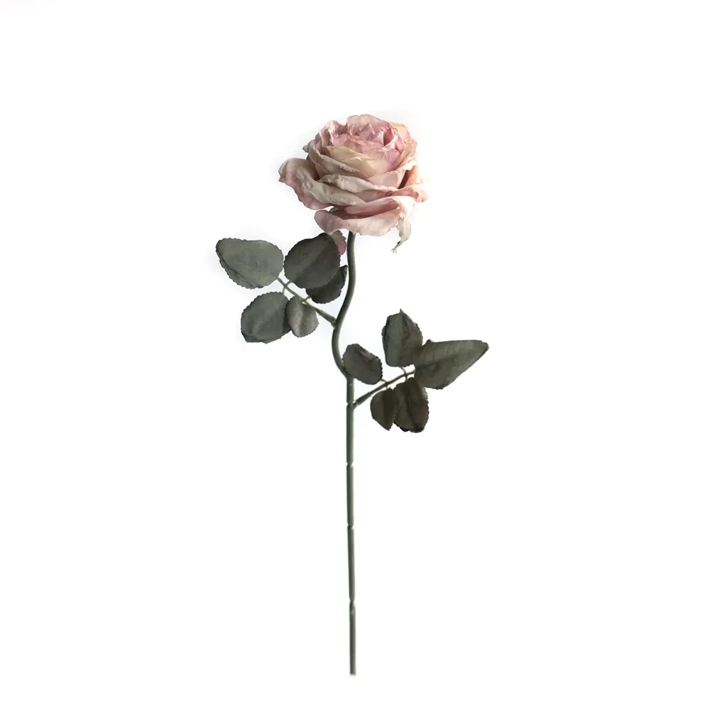 CORK-BORDED Multilyered Roses