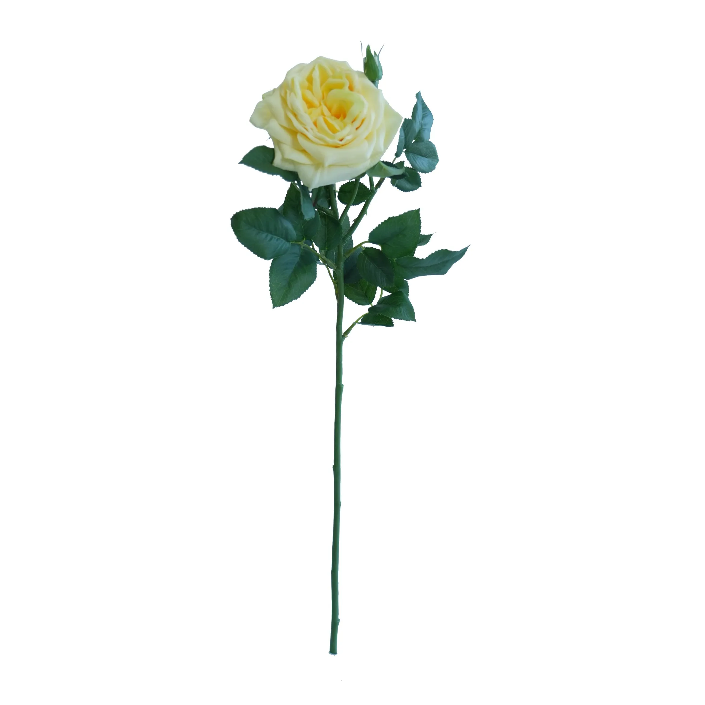 Single Lychee Rose