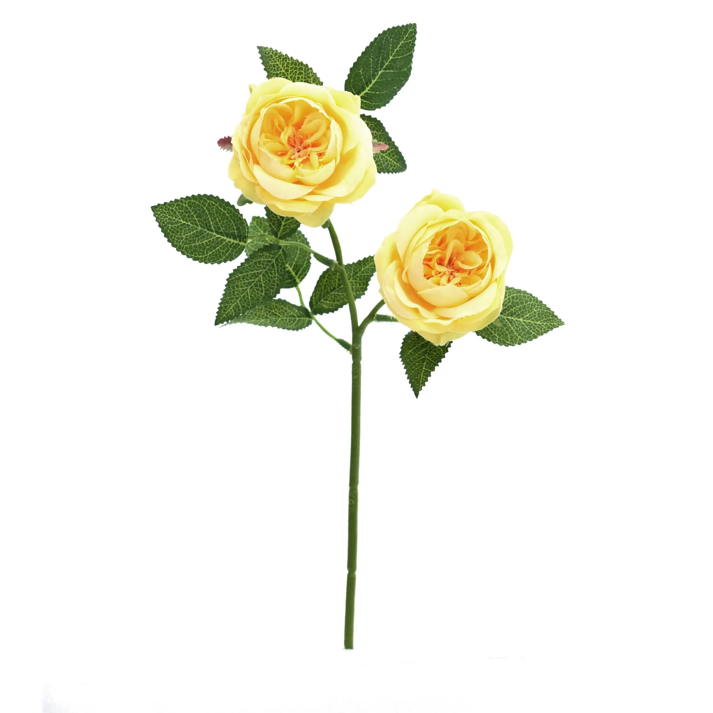 2 Rosen