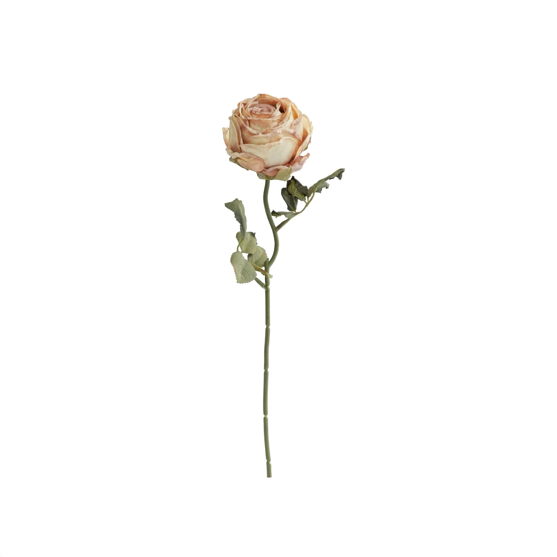 Gehackte runde Rosen