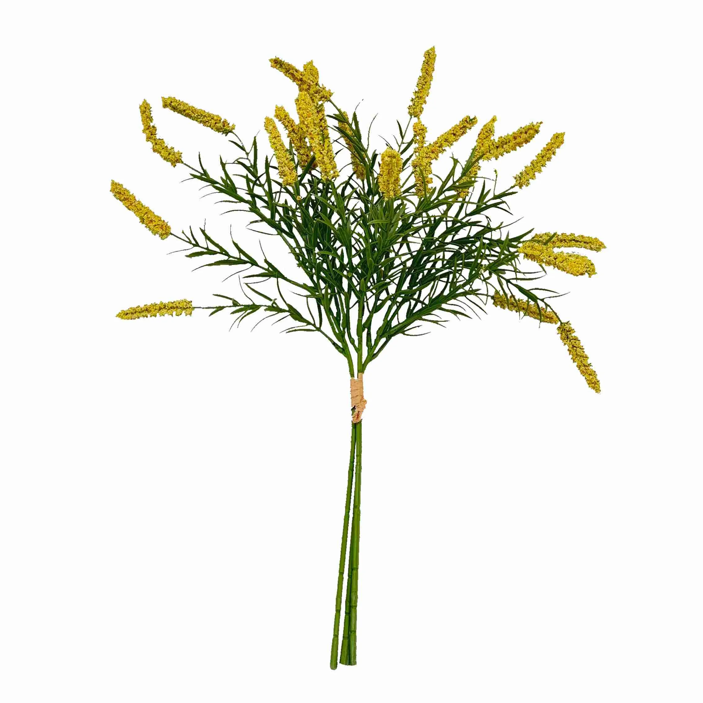 Bündeln Sie die Schilfblumen