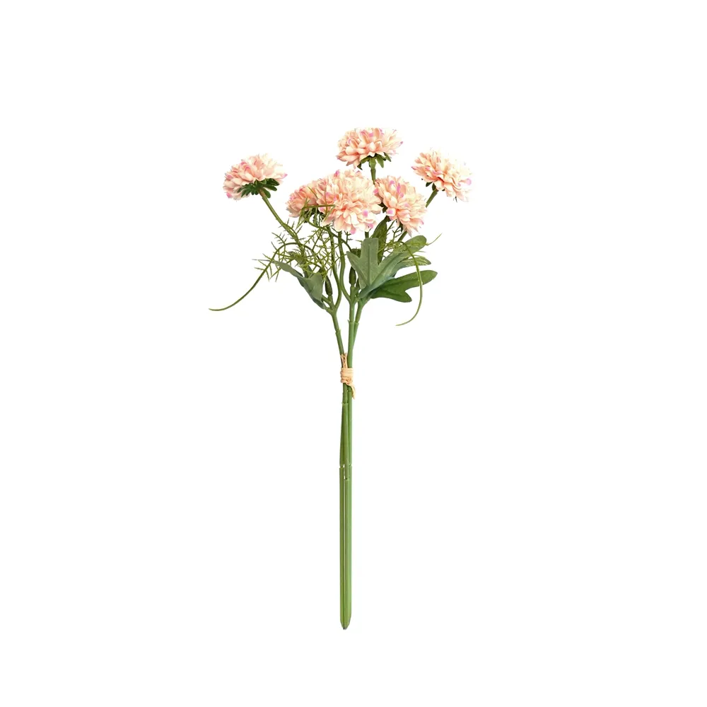 Ein Haufen Chrysanthemen