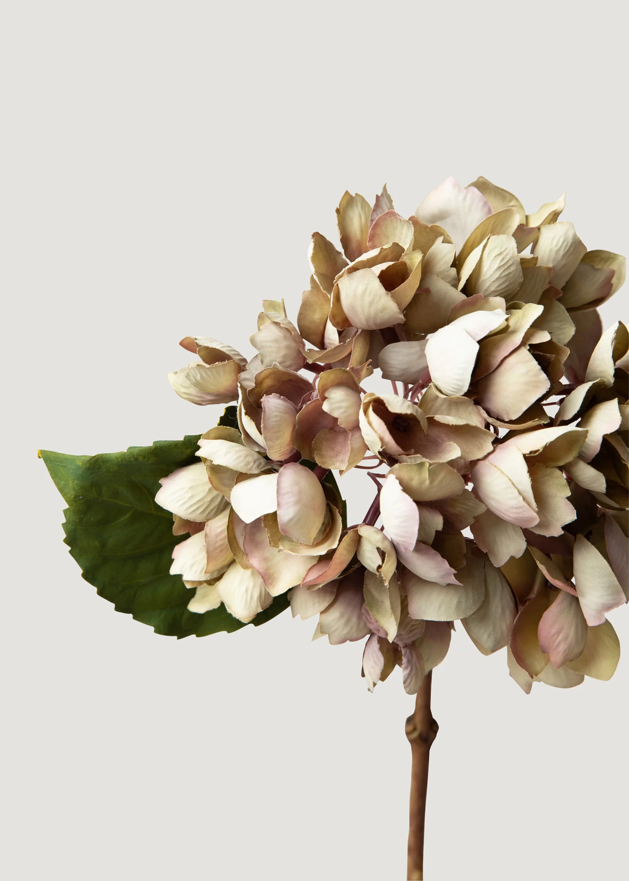 Getrockneter Look gefälschte Hortensie Blume